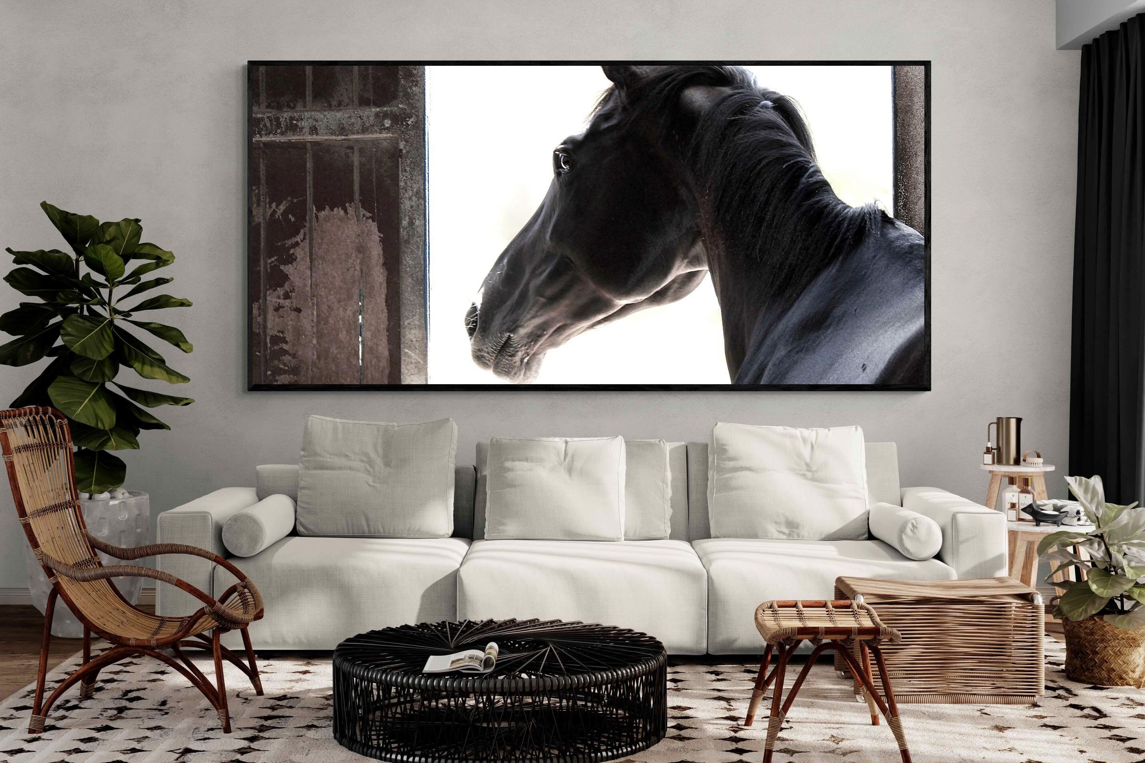 Pixalot ® Racehorse