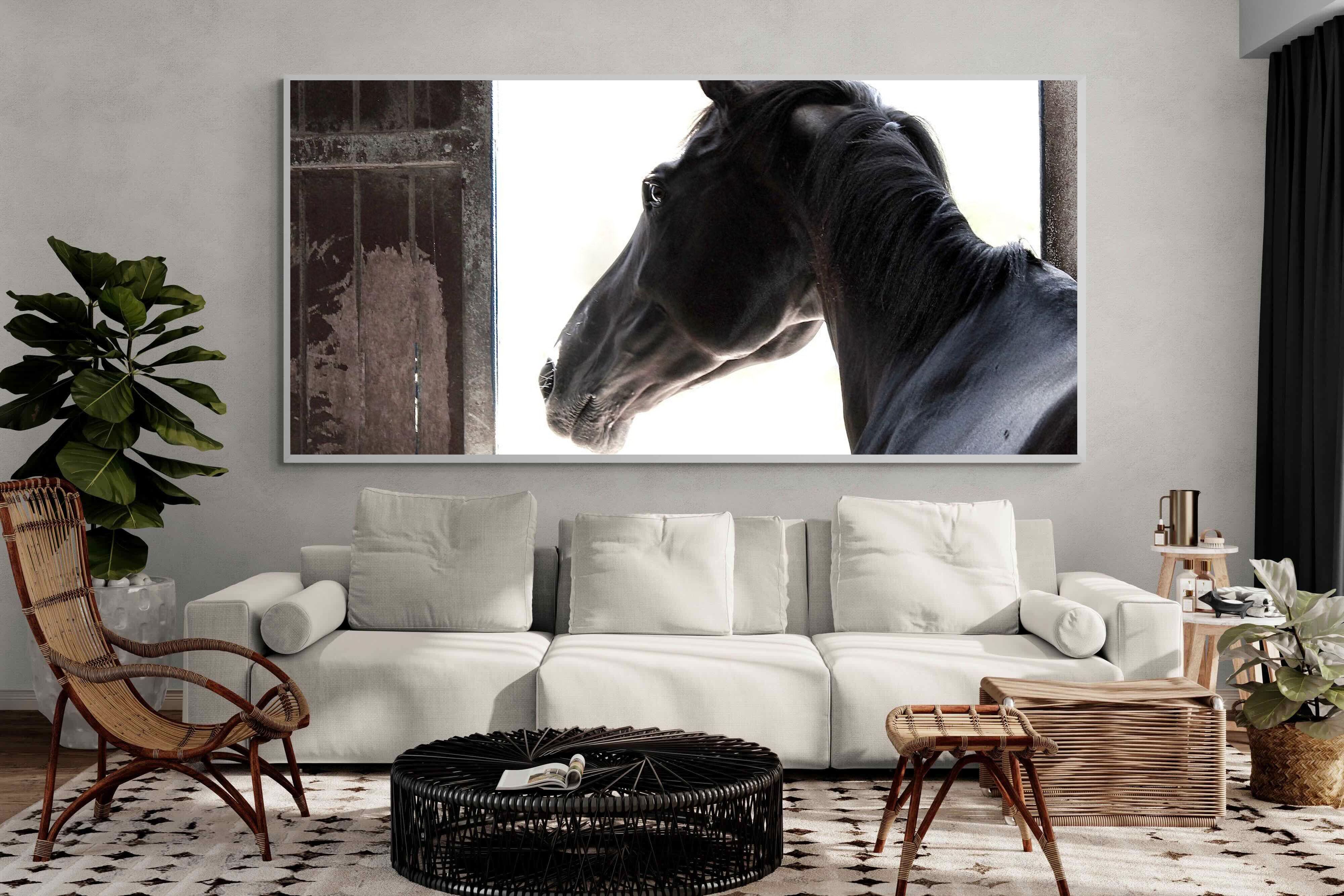 Pixalot ® Racehorse