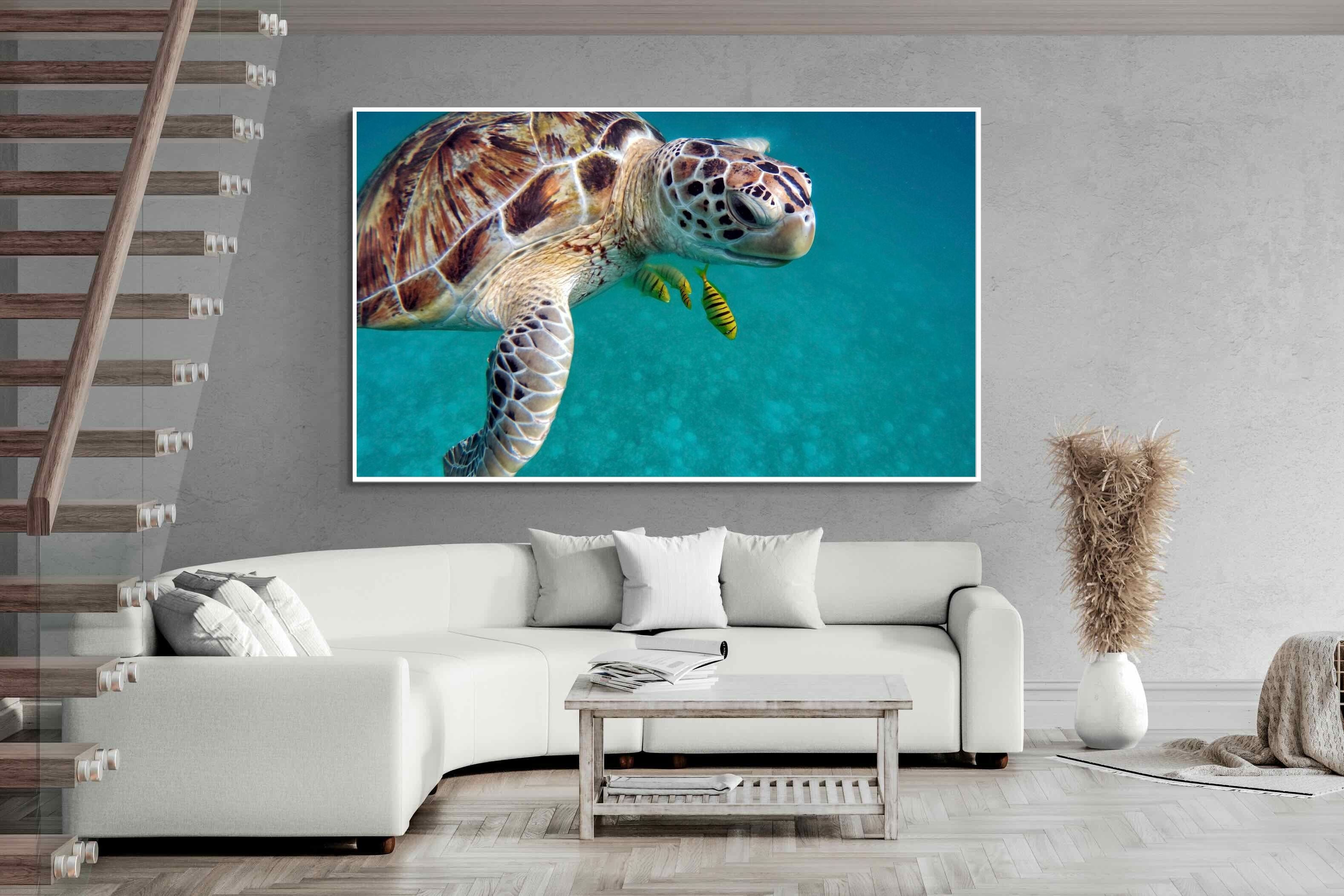 Pixalot ® Reef Companion
