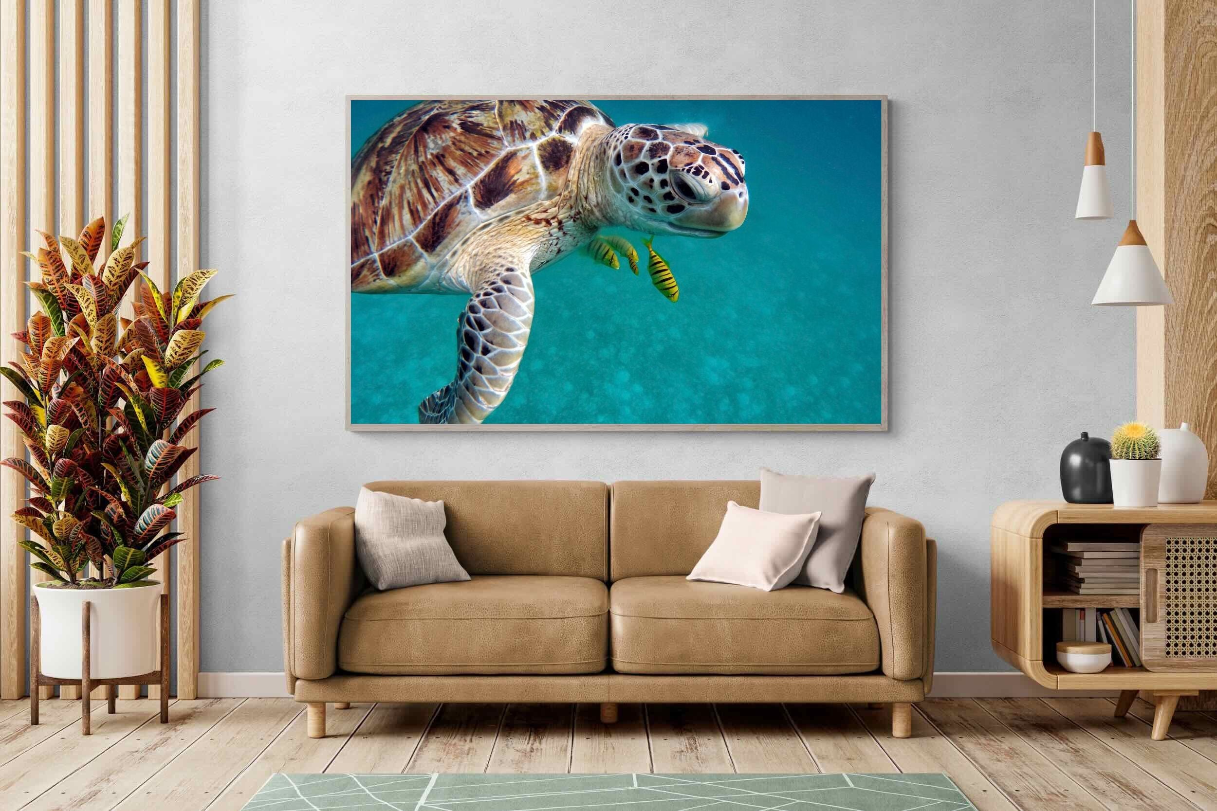 Pixalot ® Reef Companion