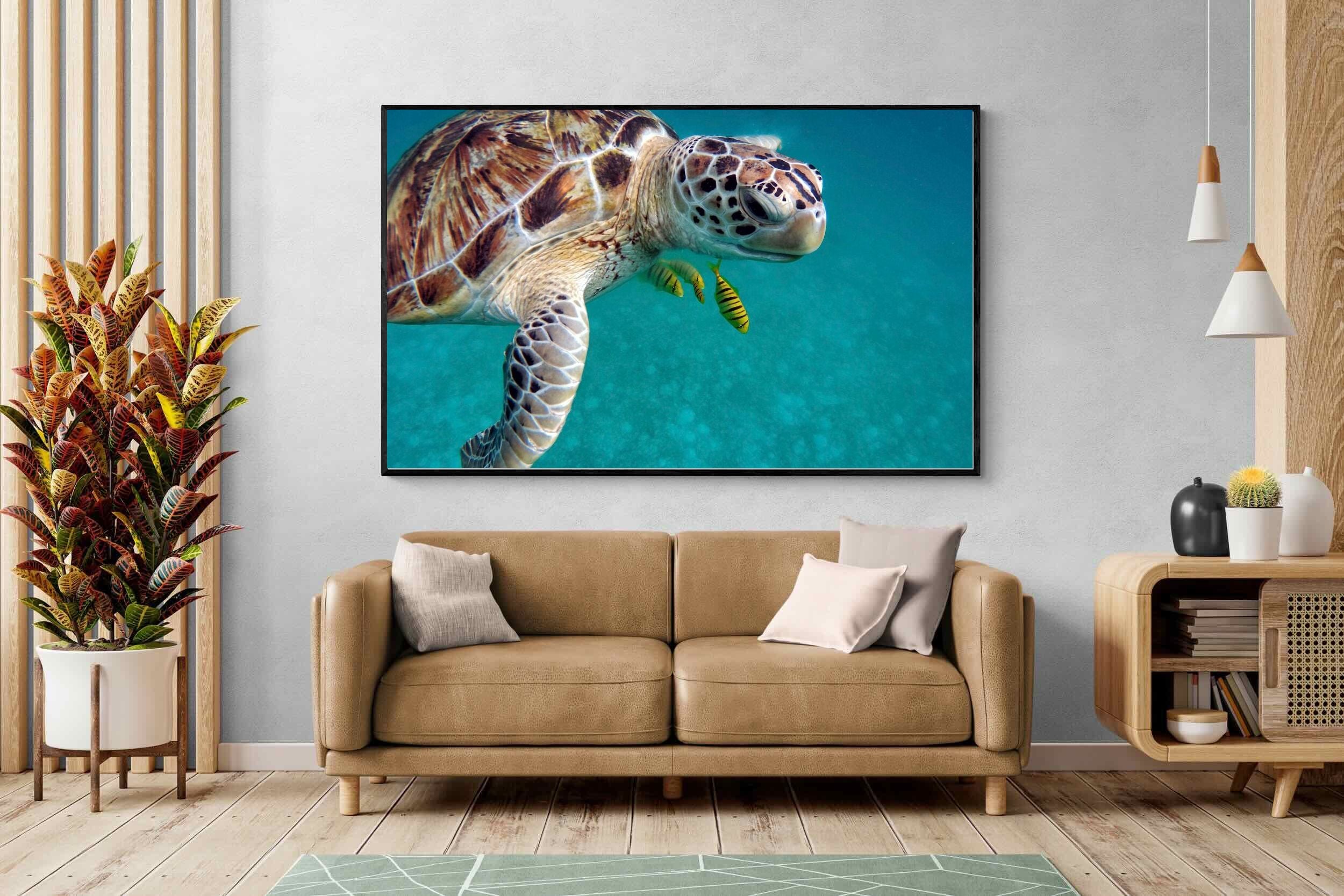 Pixalot ® Reef Companion