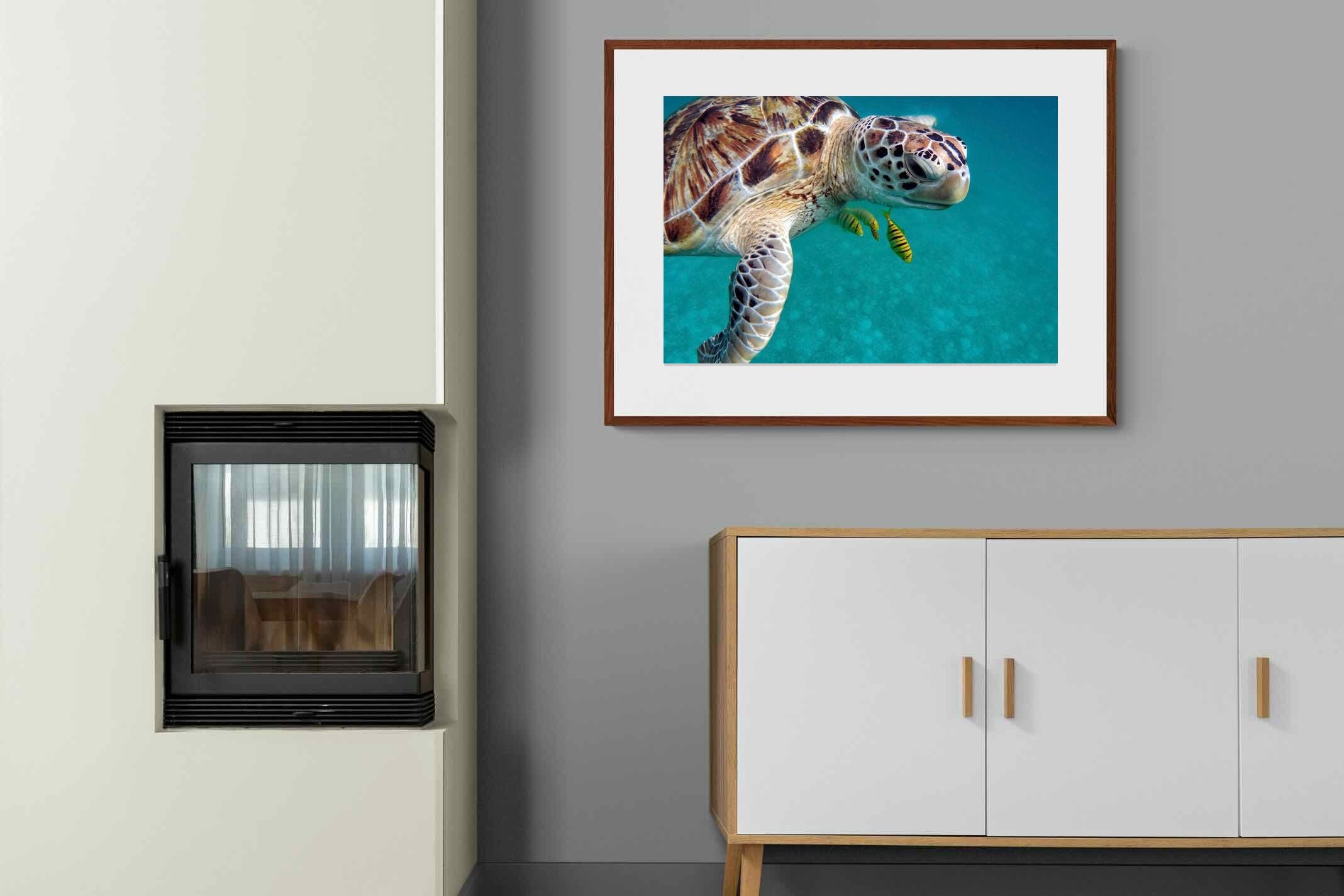 Pixalot ® Reef Companion