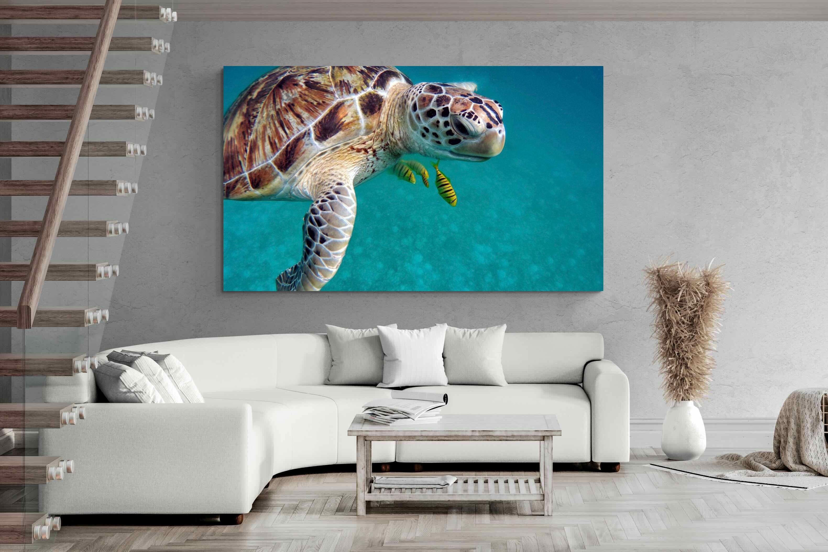 Pixalot ® Reef Companion