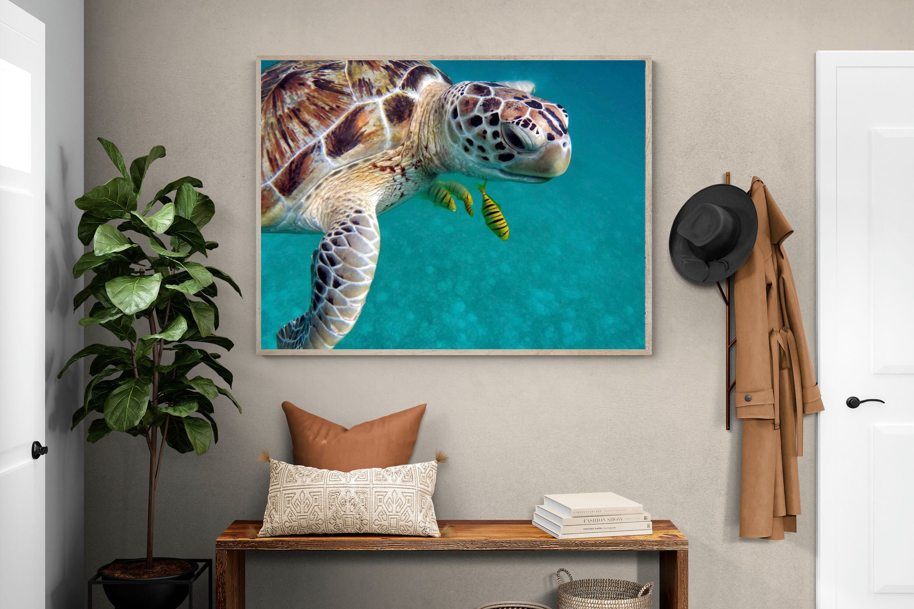 Pixalot ® Reef Companion