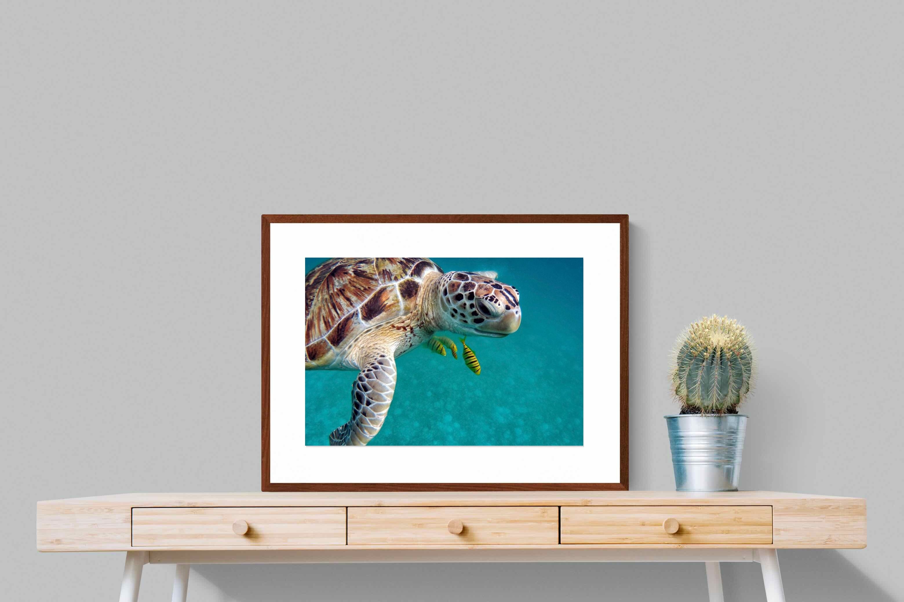 Pixalot ® Reef Companion