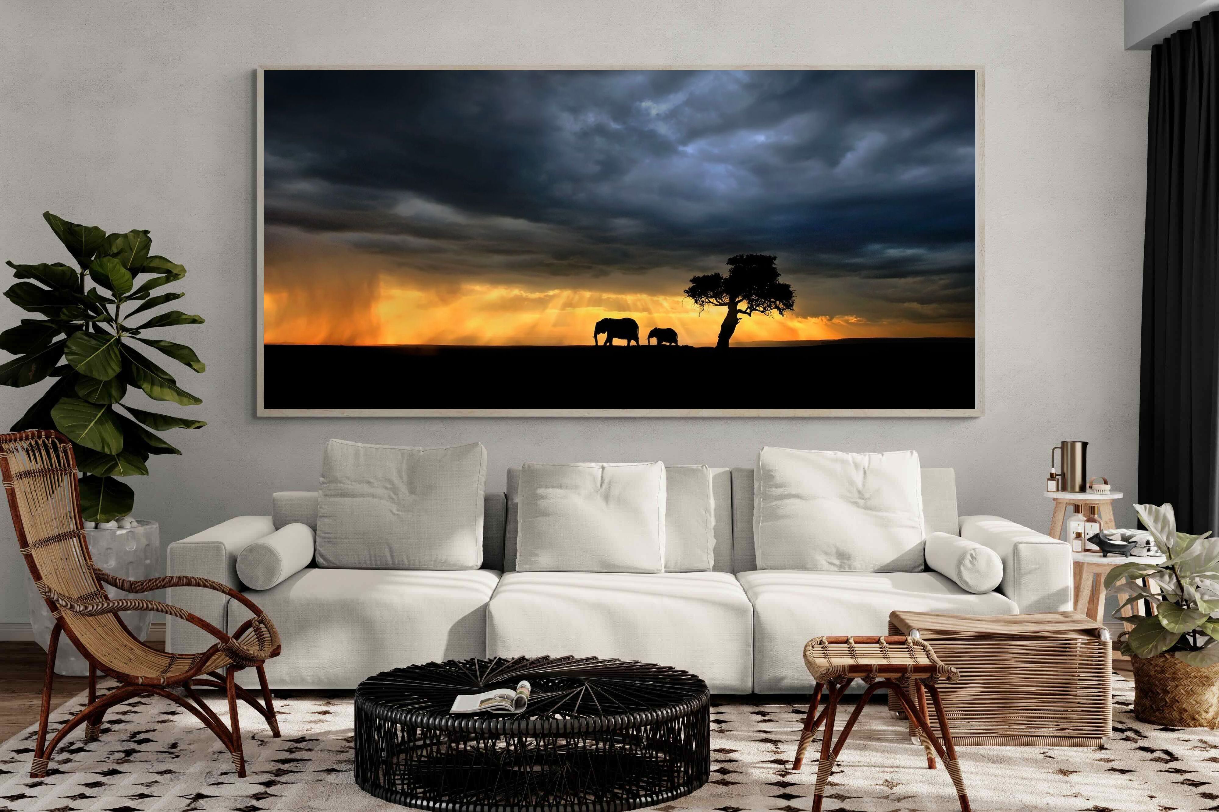 Pixalot Safari Sunset