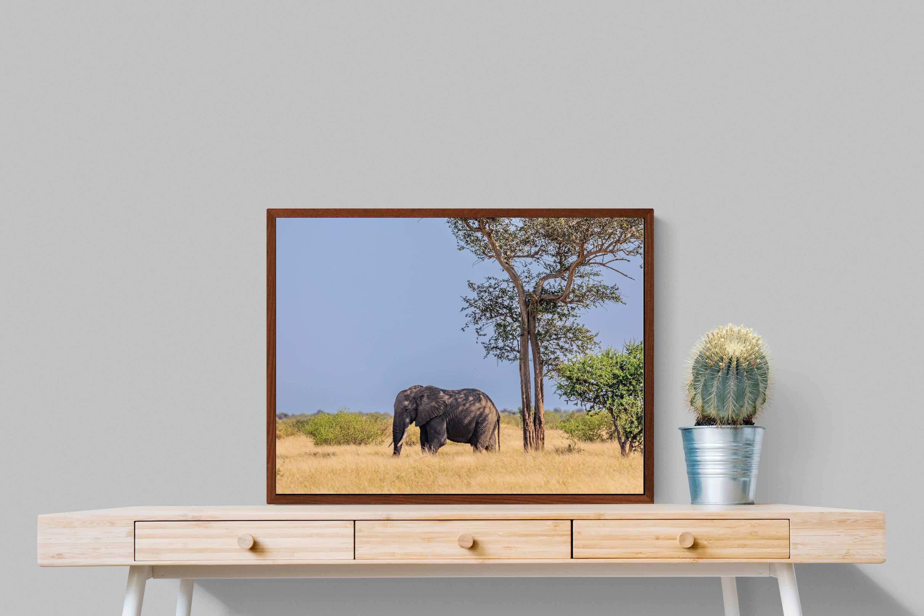 Pixalot ® Shady Elephant