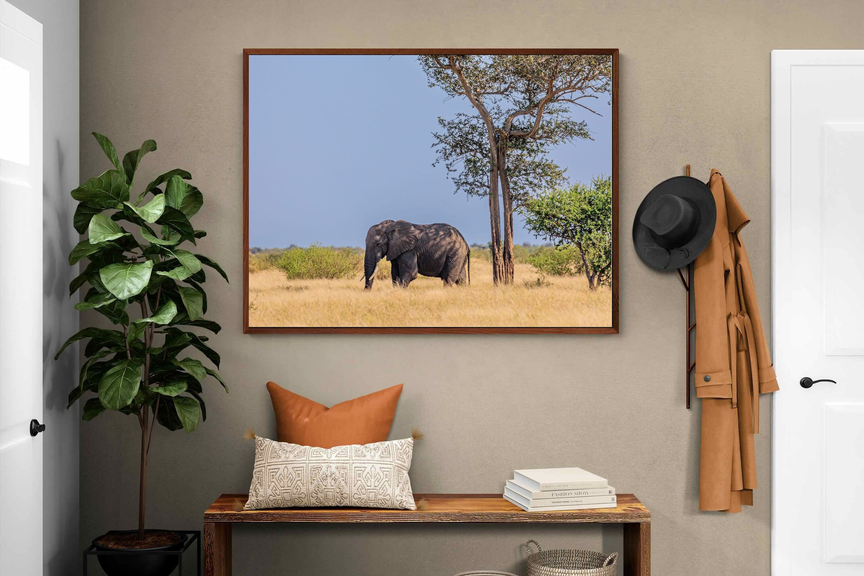 Pixalot ® Shady Elephant