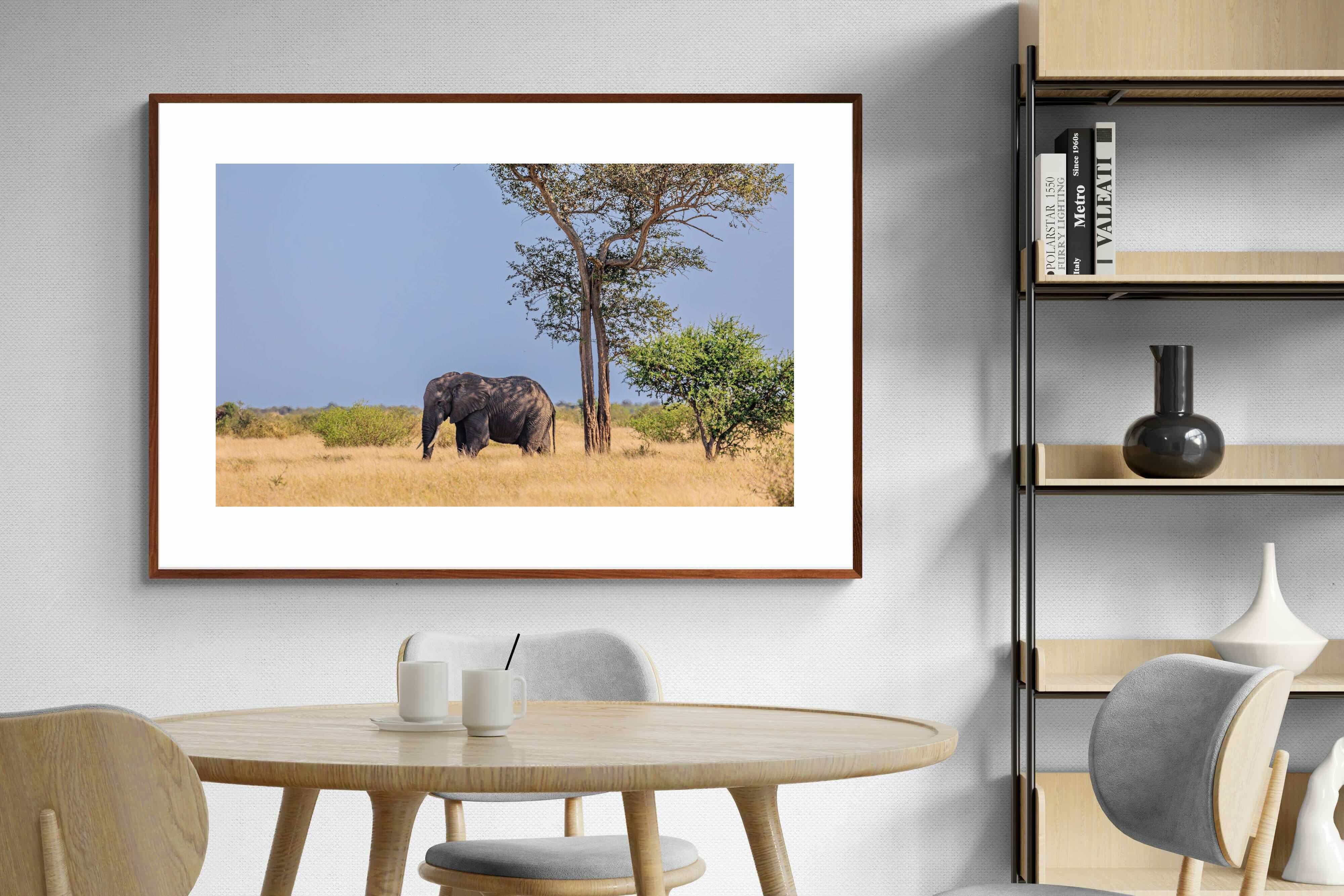 Pixalot ® Shady Elephant