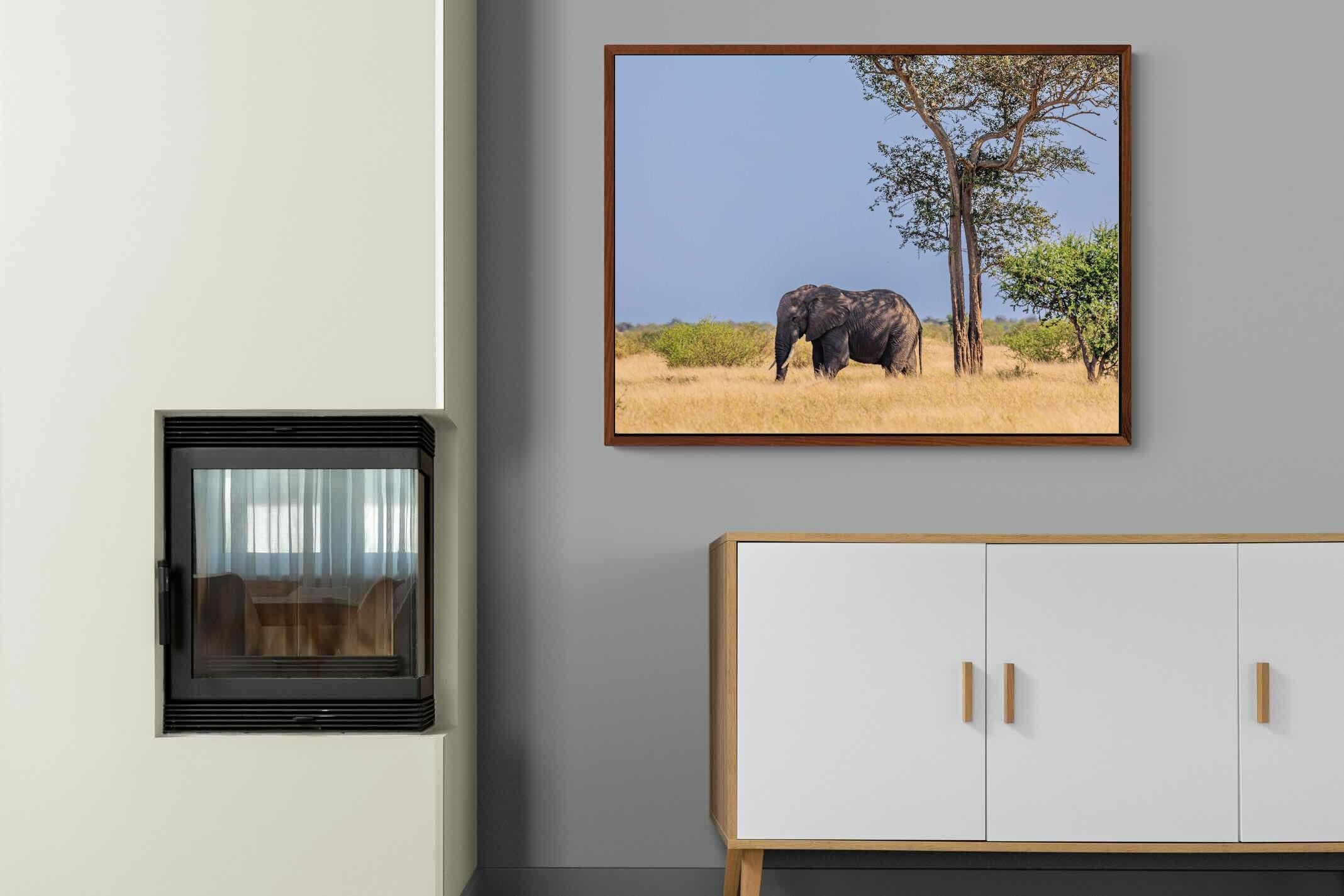 Pixalot ® Shady Elephant