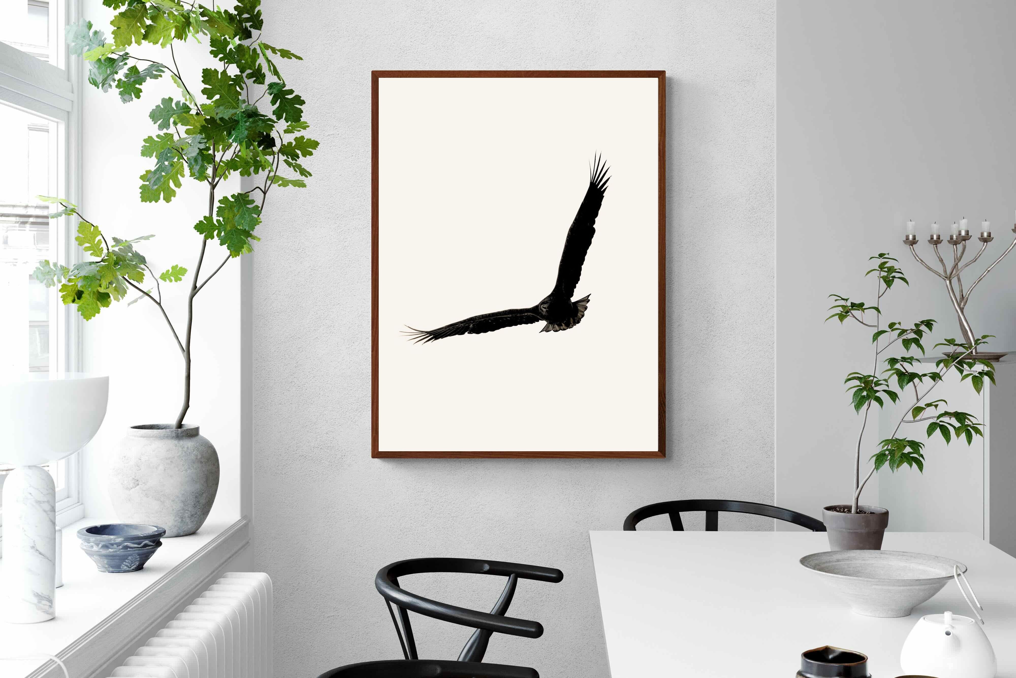 Pixalot ® Soaring Eagle