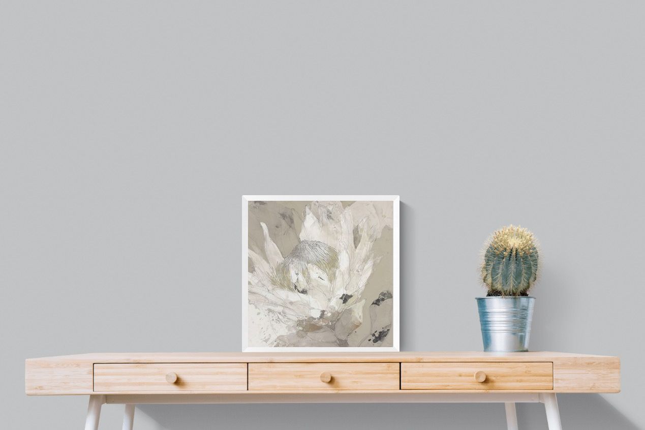 Pixalot ® Soft Protea