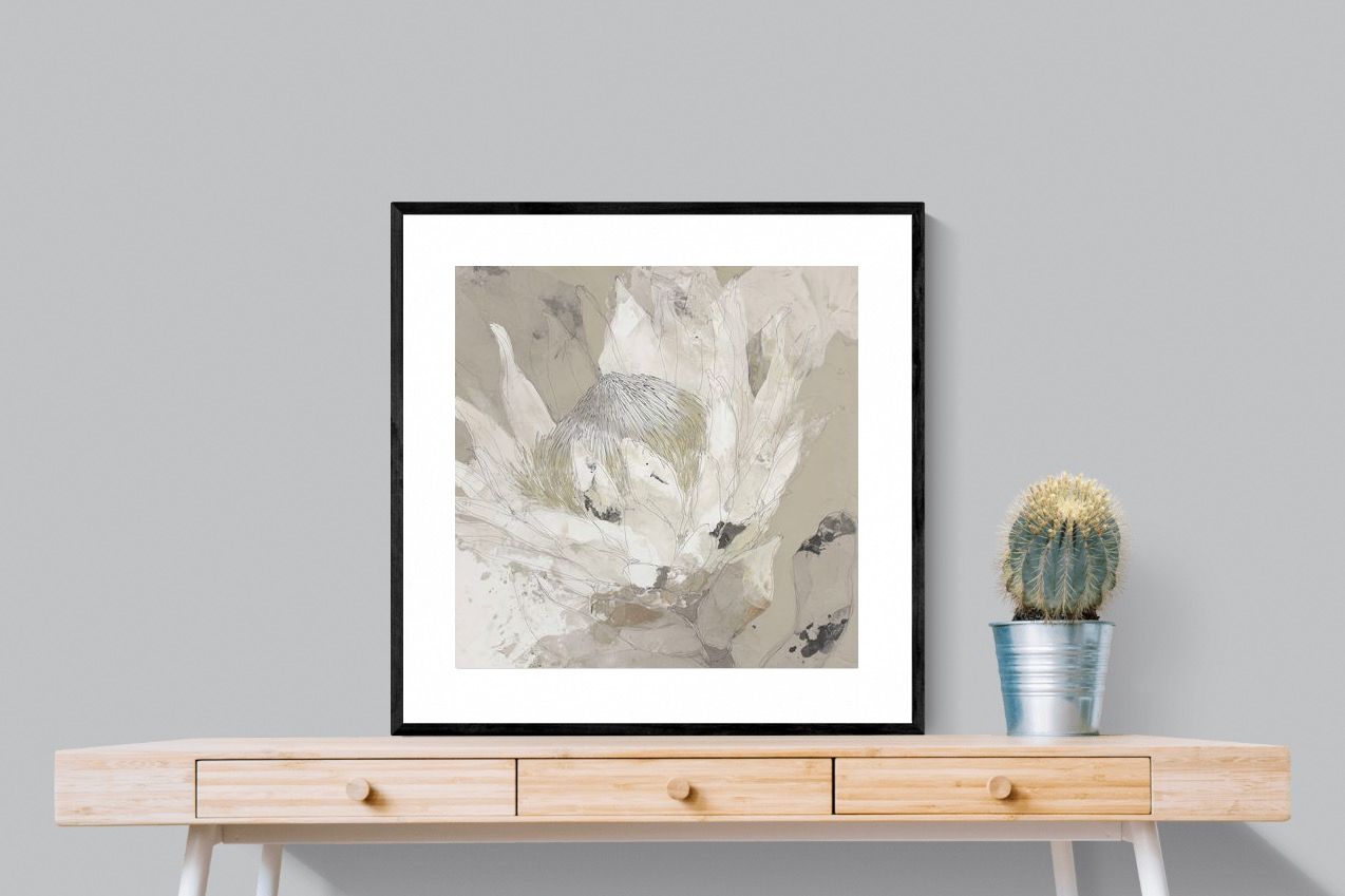 Pixalot ® Soft Protea