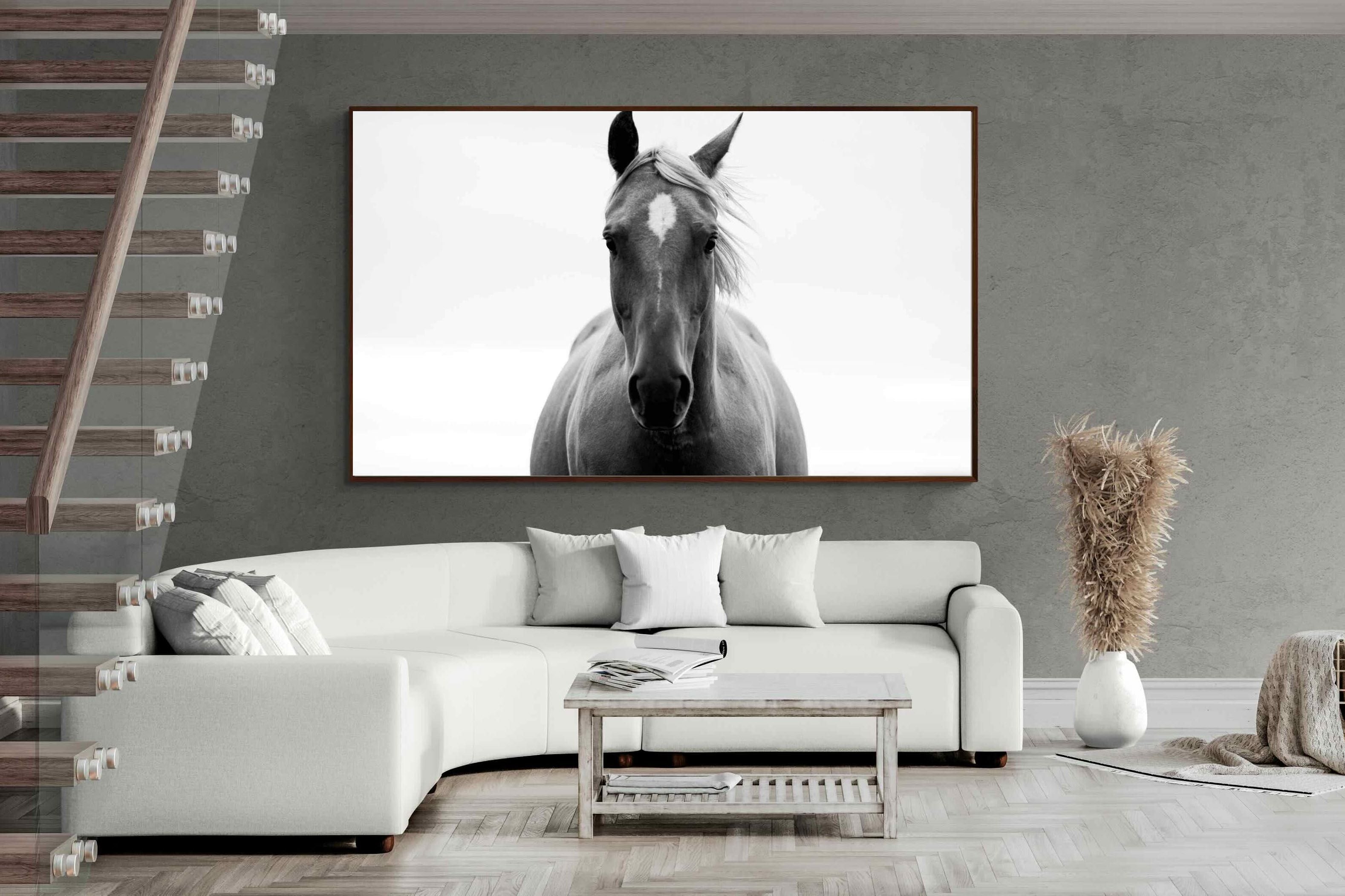 Pixalot ® Stallion