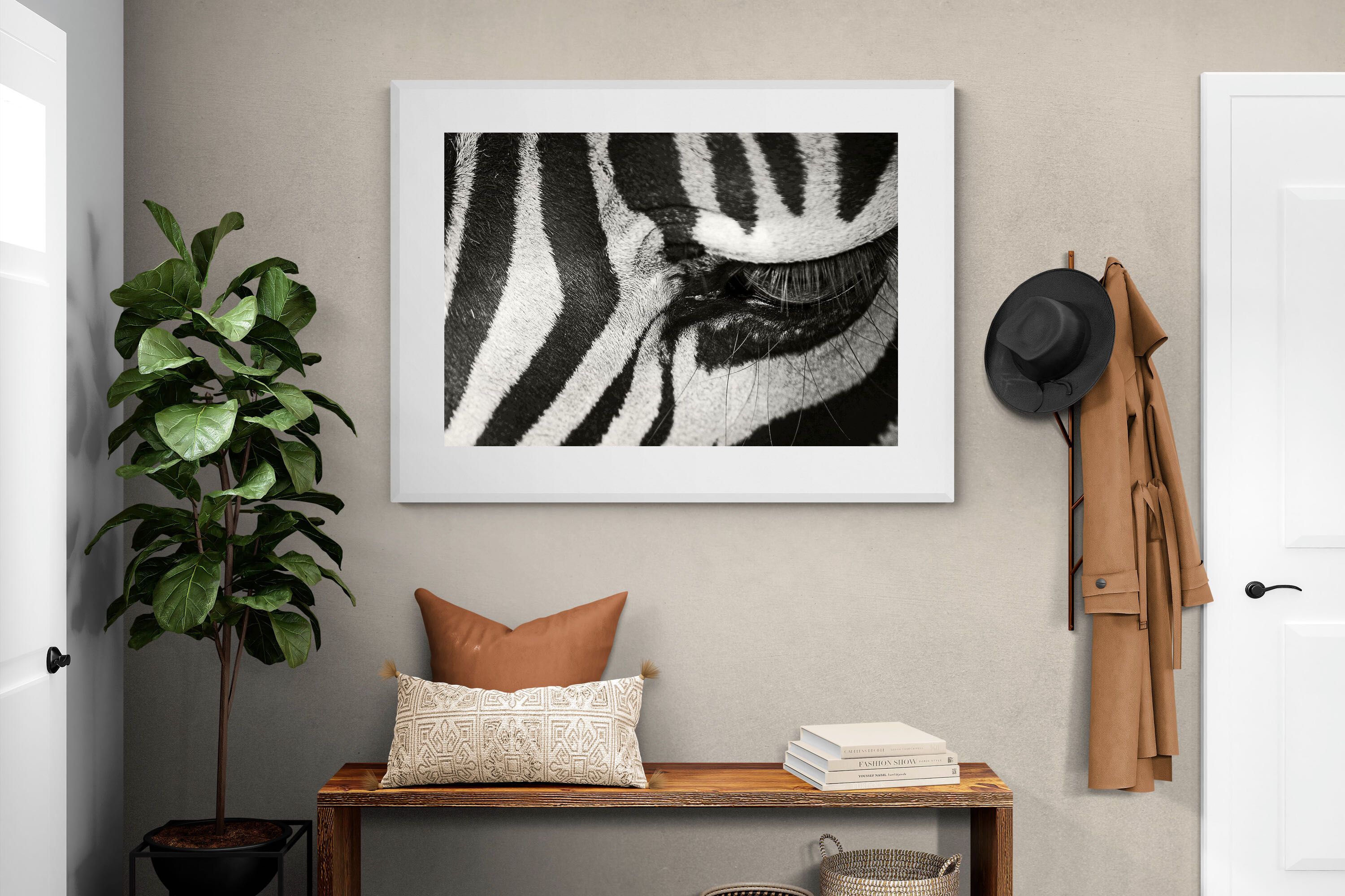 Pixalot ® Striped Gaze