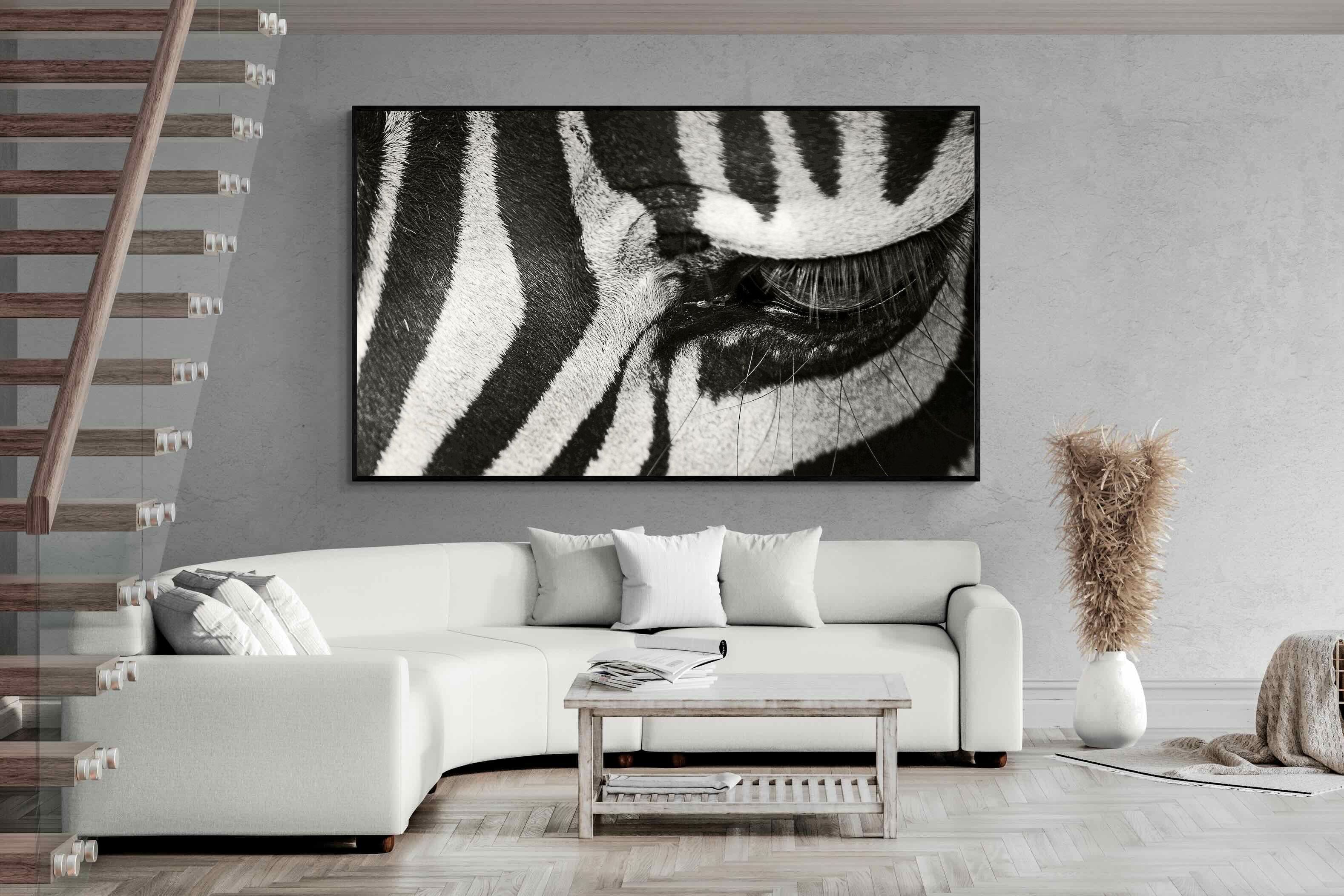 Pixalot ® Striped Gaze