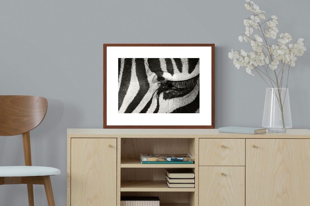 Pixalot ® Striped Gaze