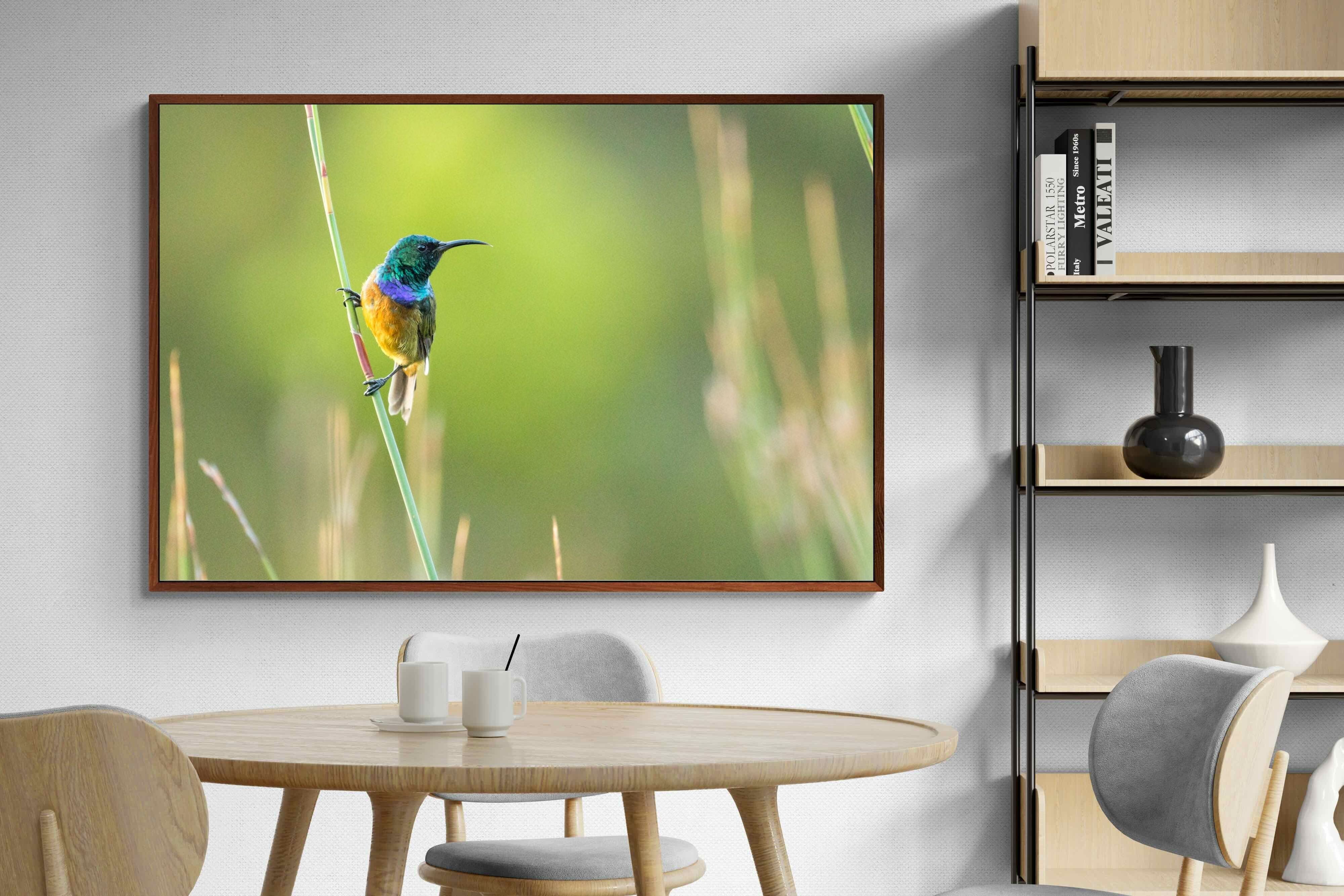 Pixalot ® Sunbird