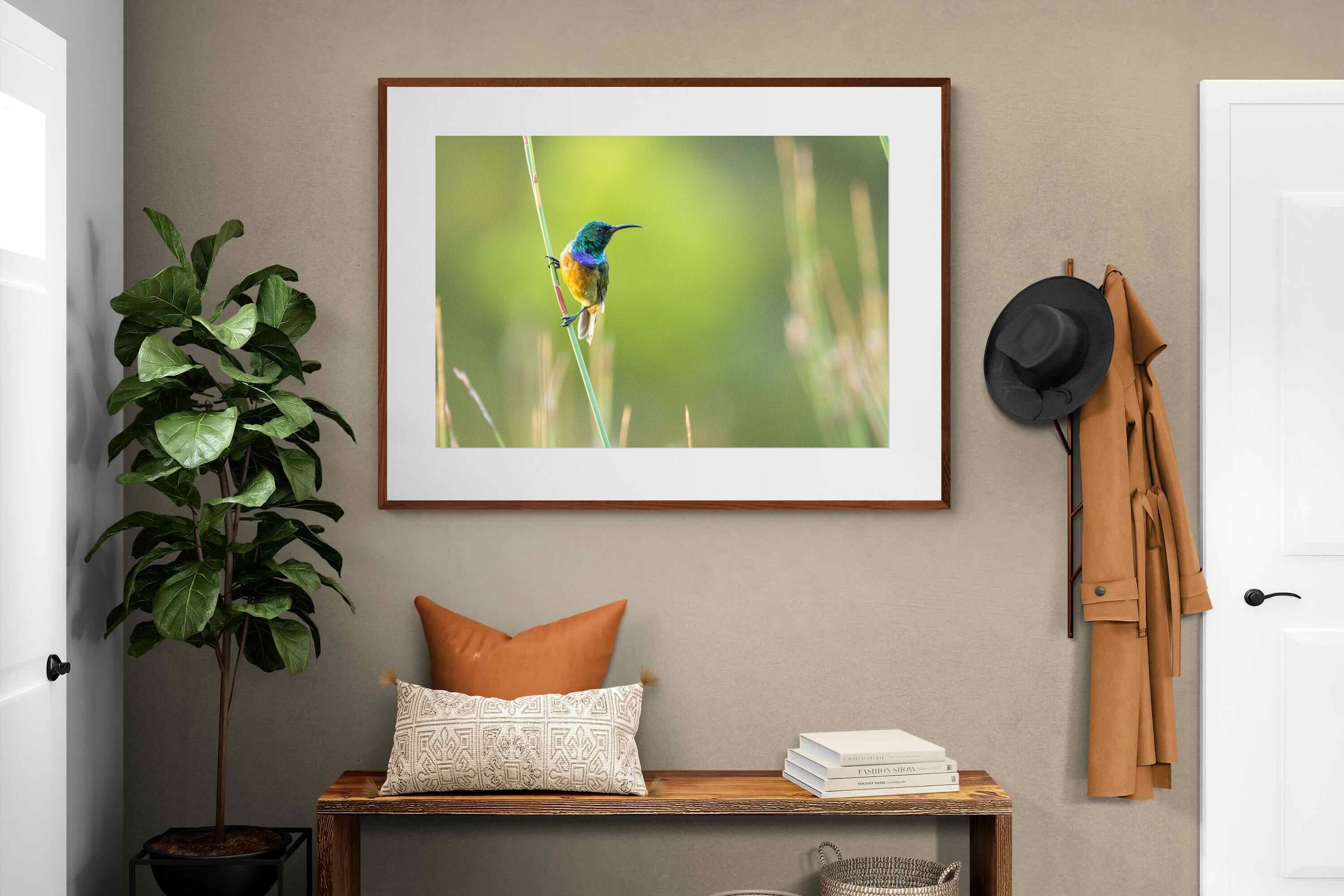 Pixalot ® Sunbird