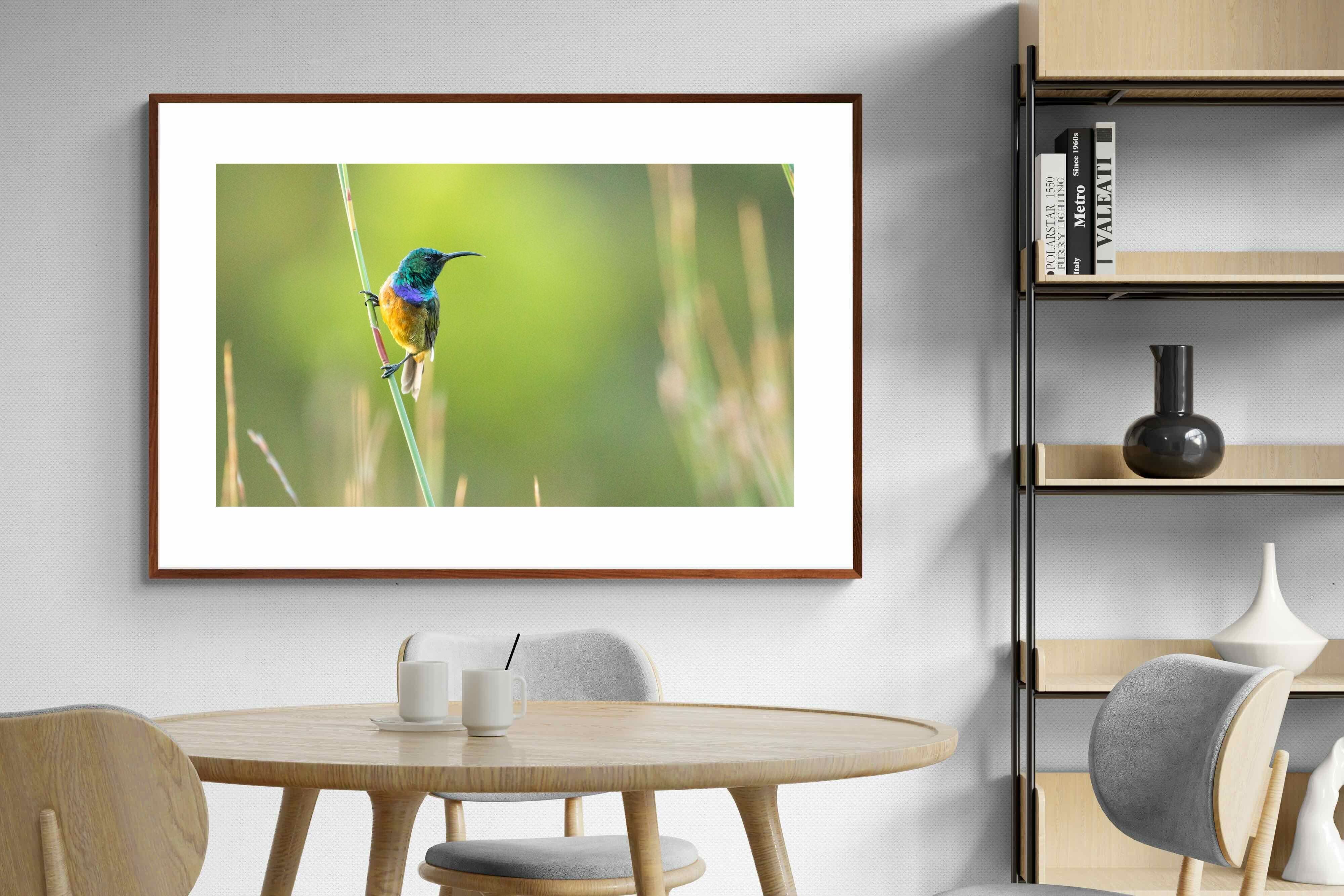 Pixalot ® Sunbird