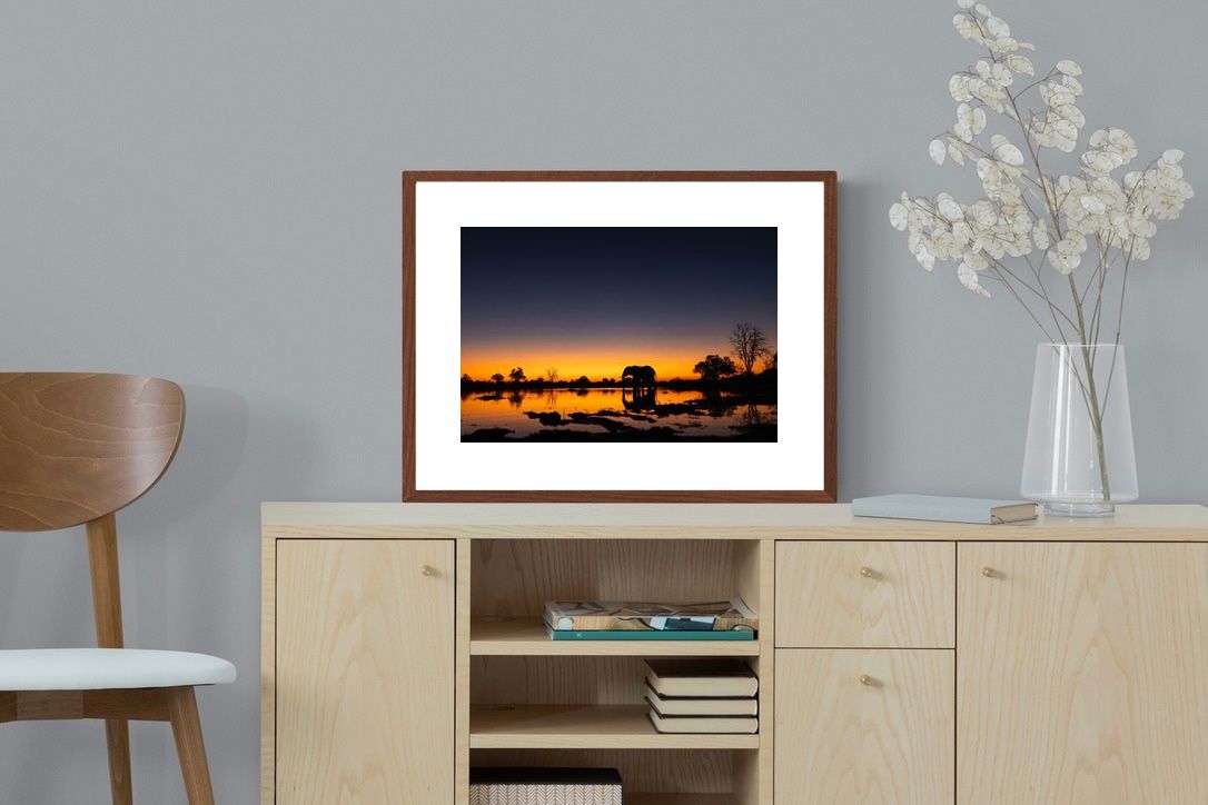 Pixalot ® Sunset Elephant