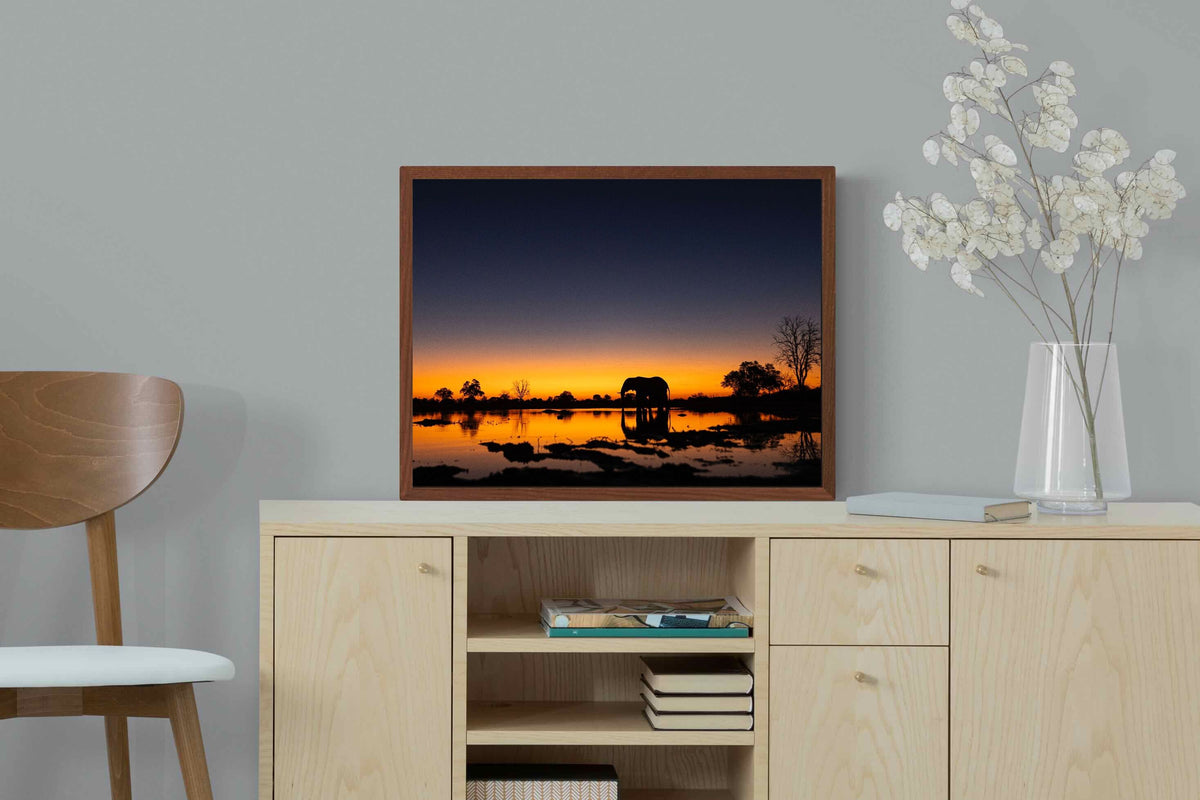 Pixalot ® Sunset Elephant