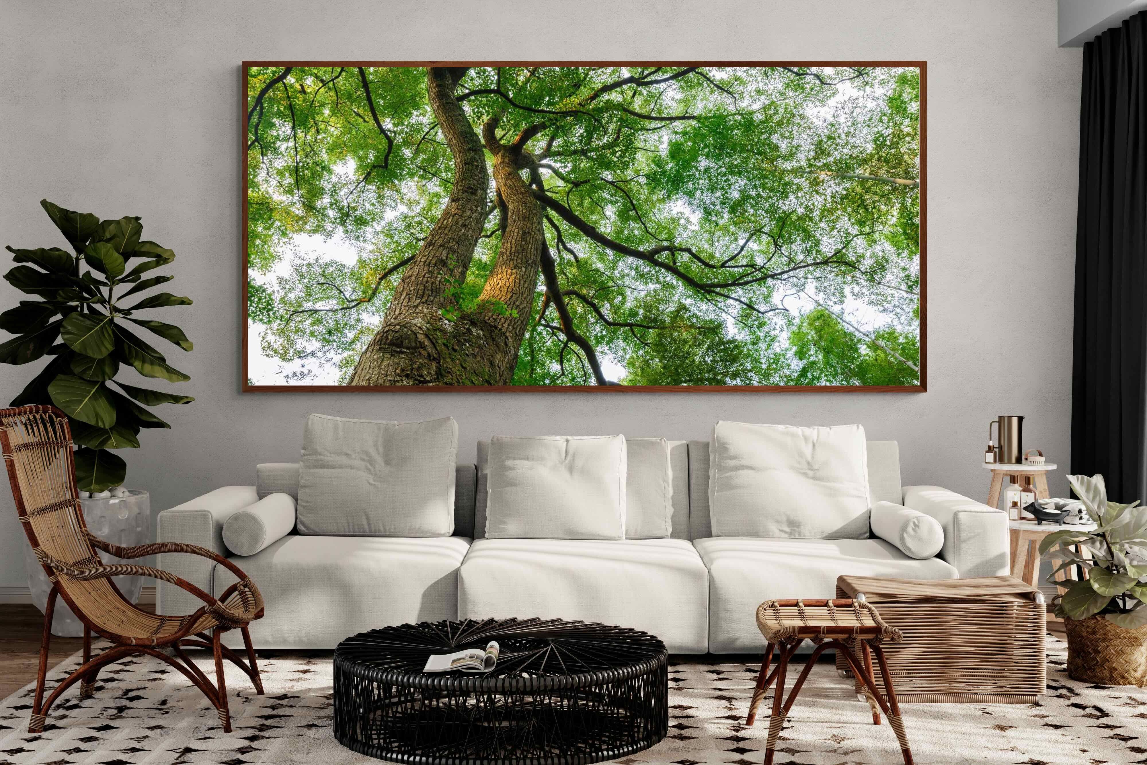 Pixalot ® Tree Canopy