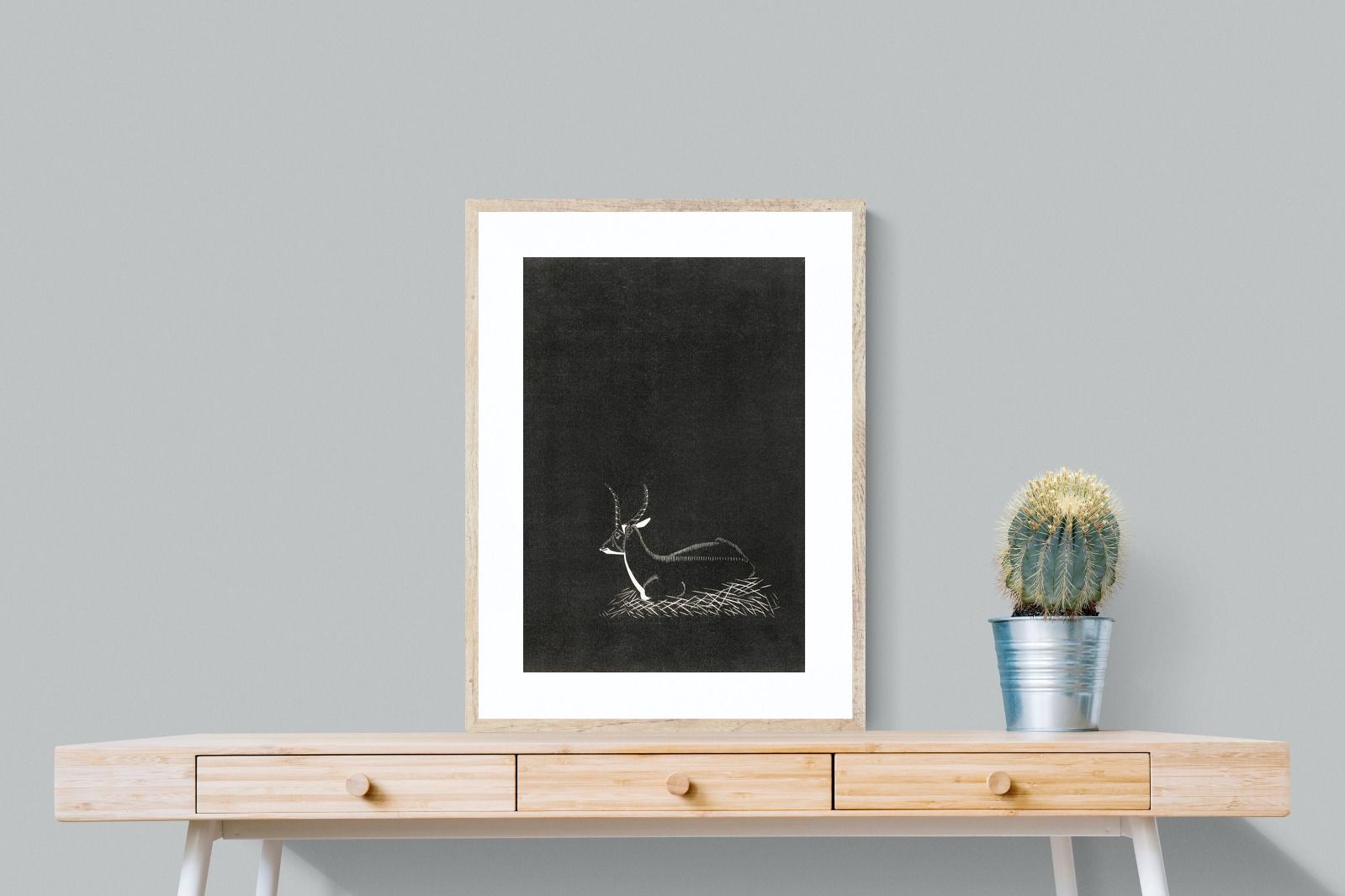 Pixalot ® Waterbuck