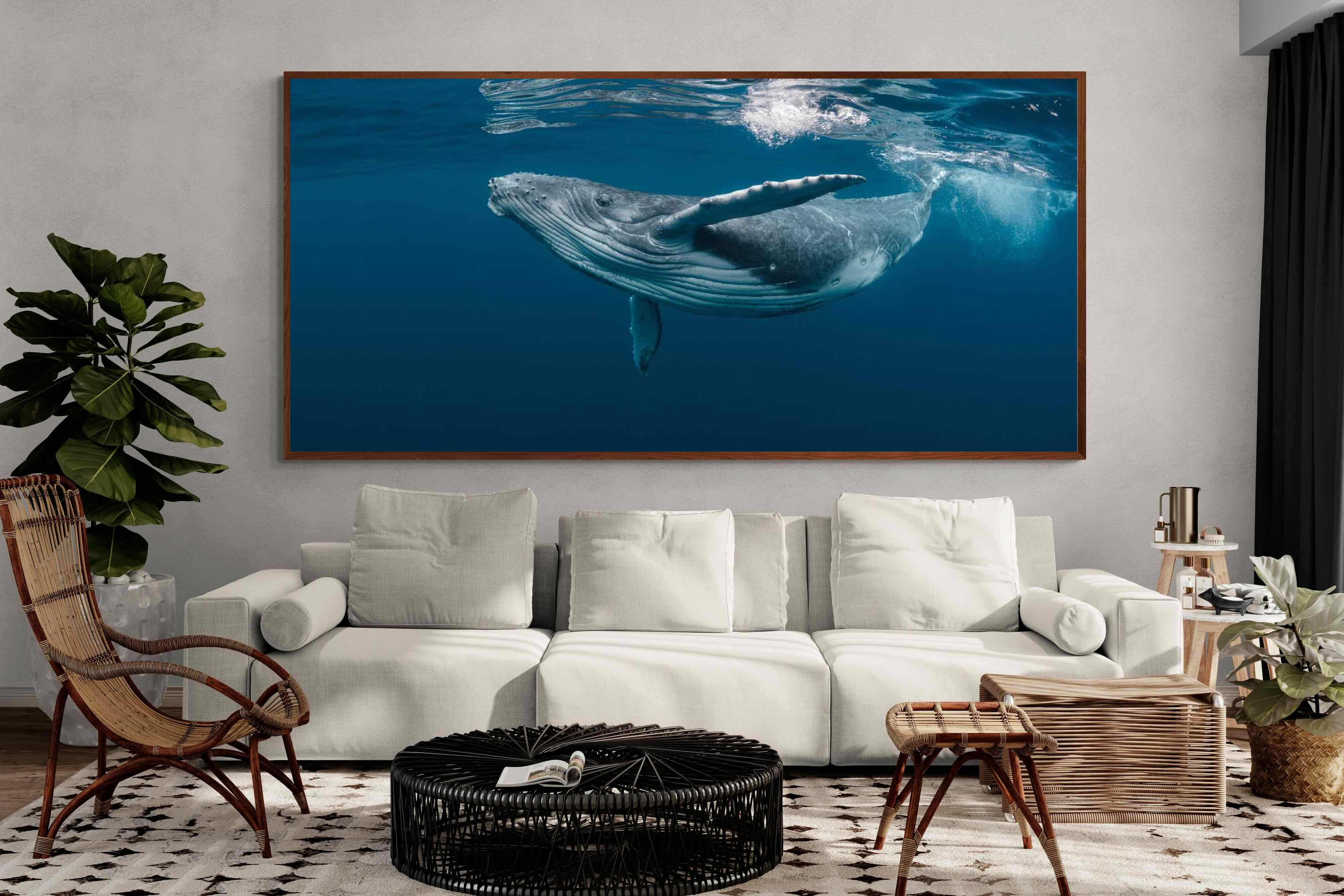 Pixalot ® Whale