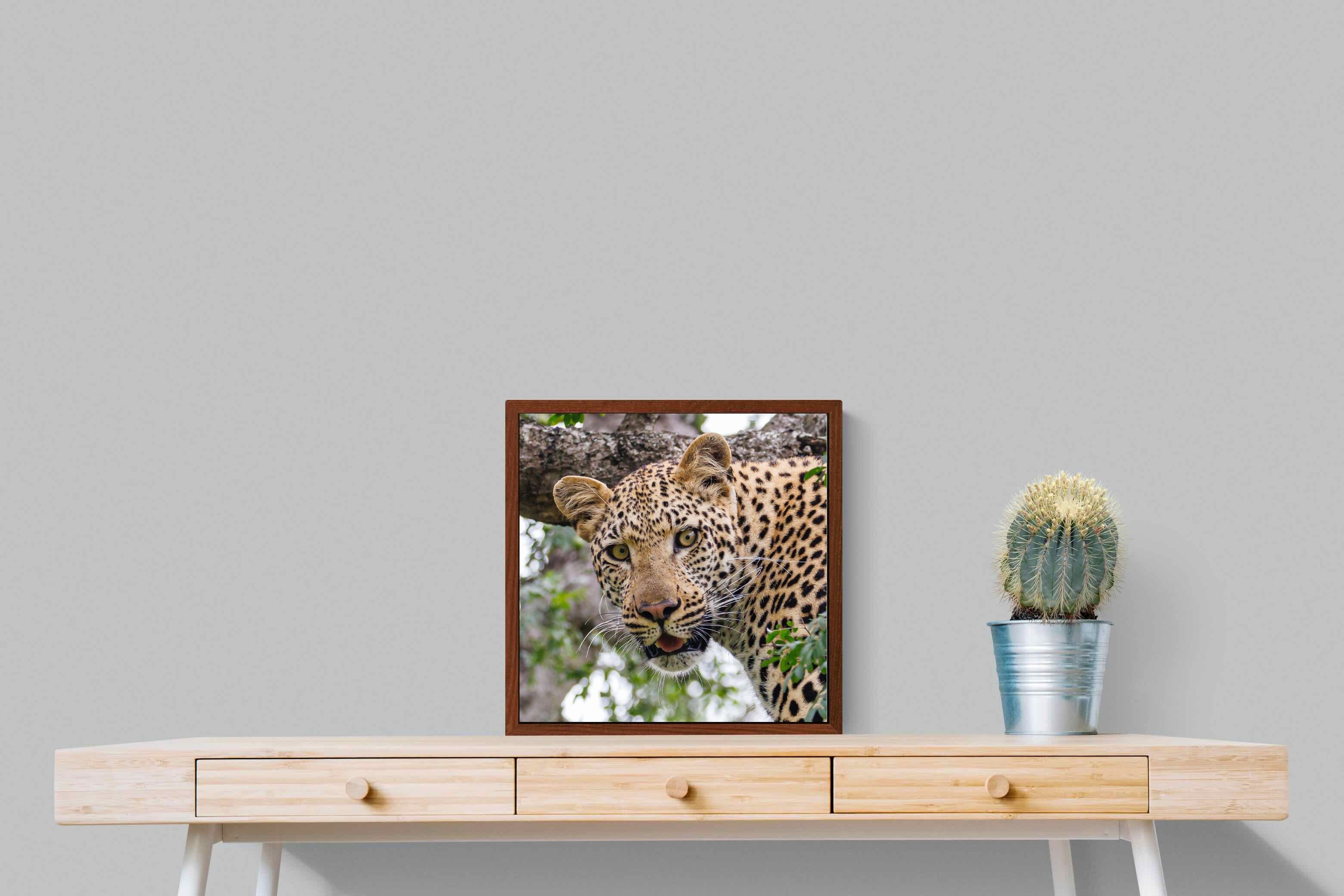 Pixalot ® Wild Gaze