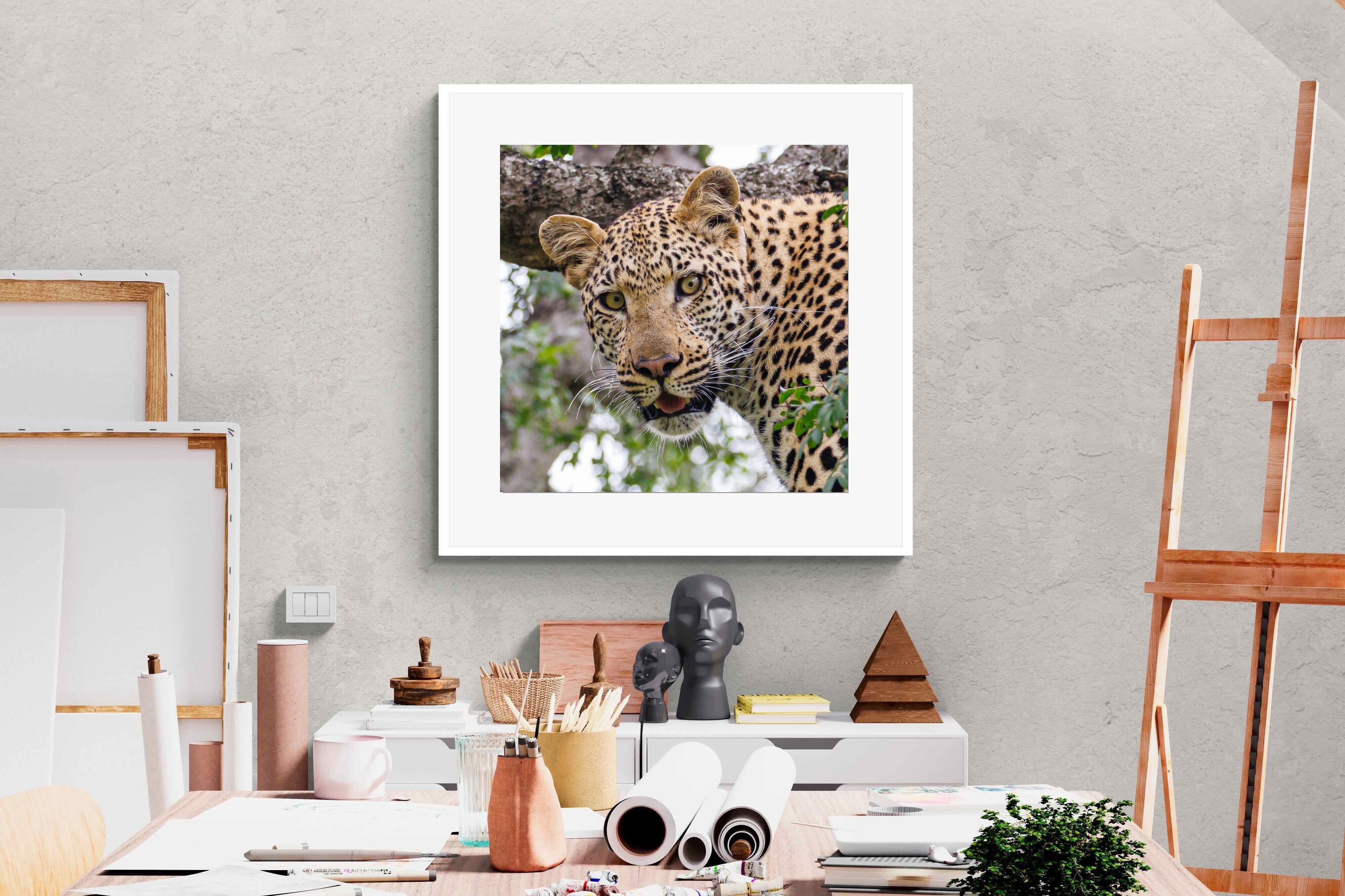 Pixalot ® Wild Gaze