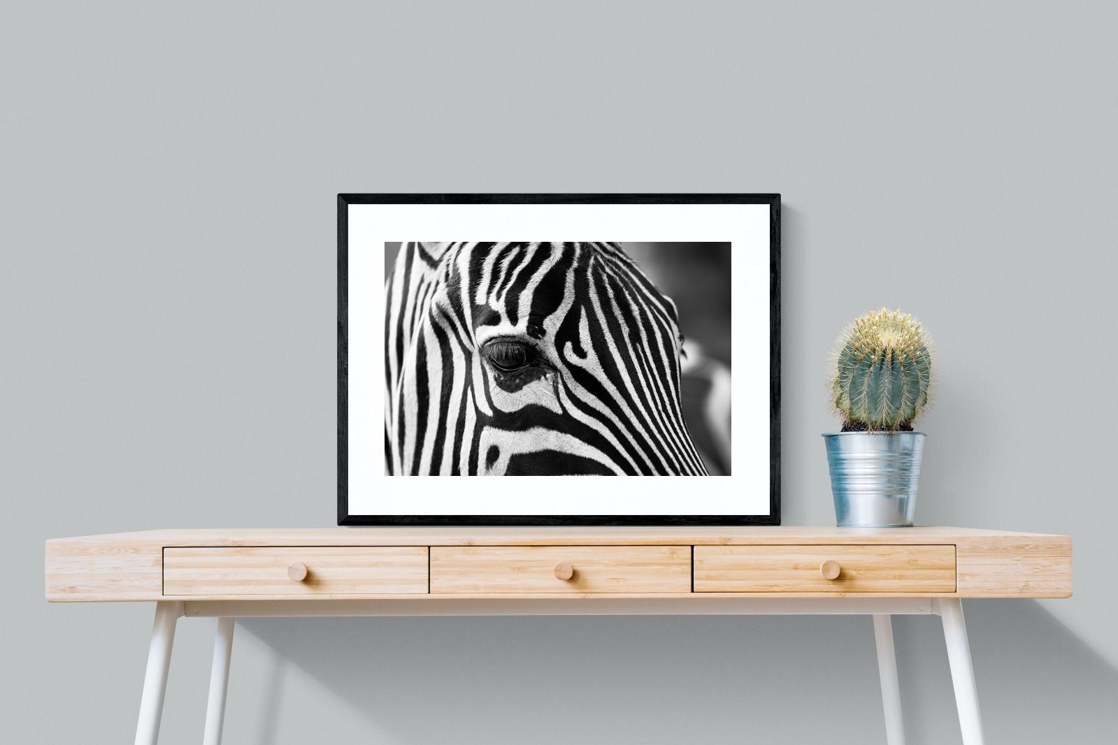 Pixalot ® Zebra