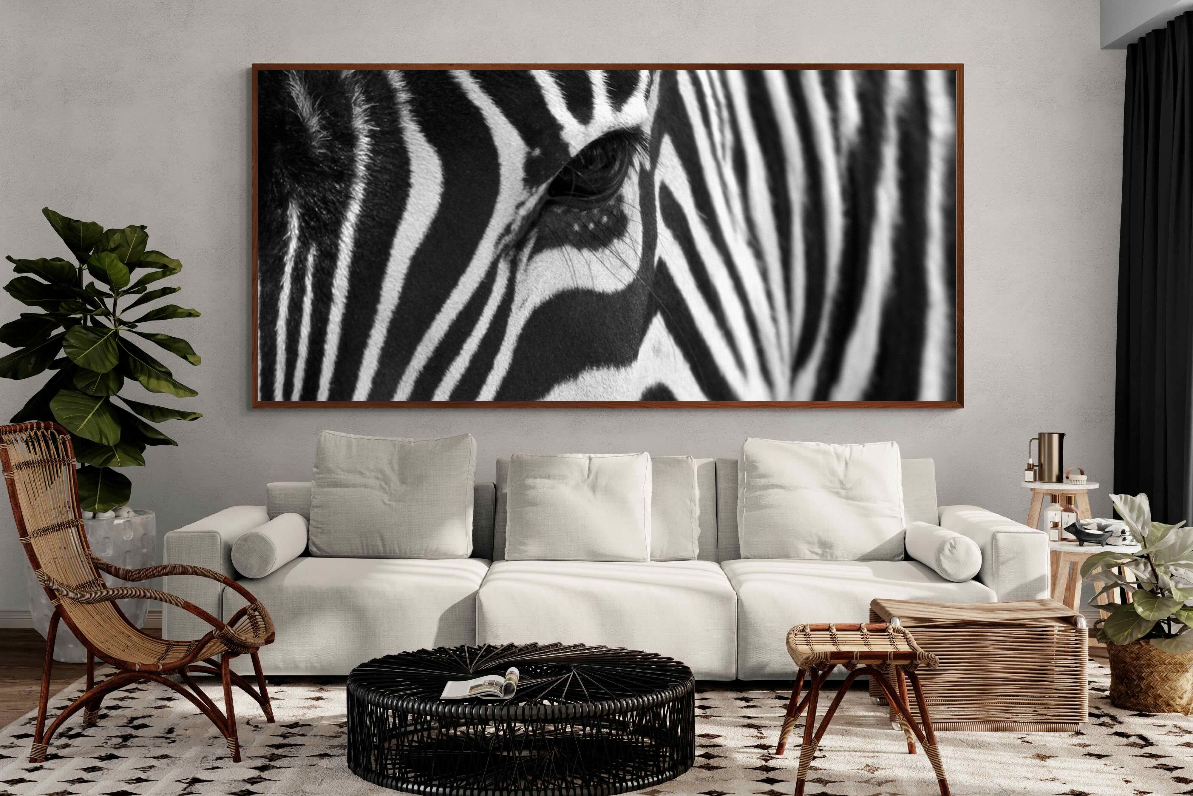 Pixalot ® Zebra Eye