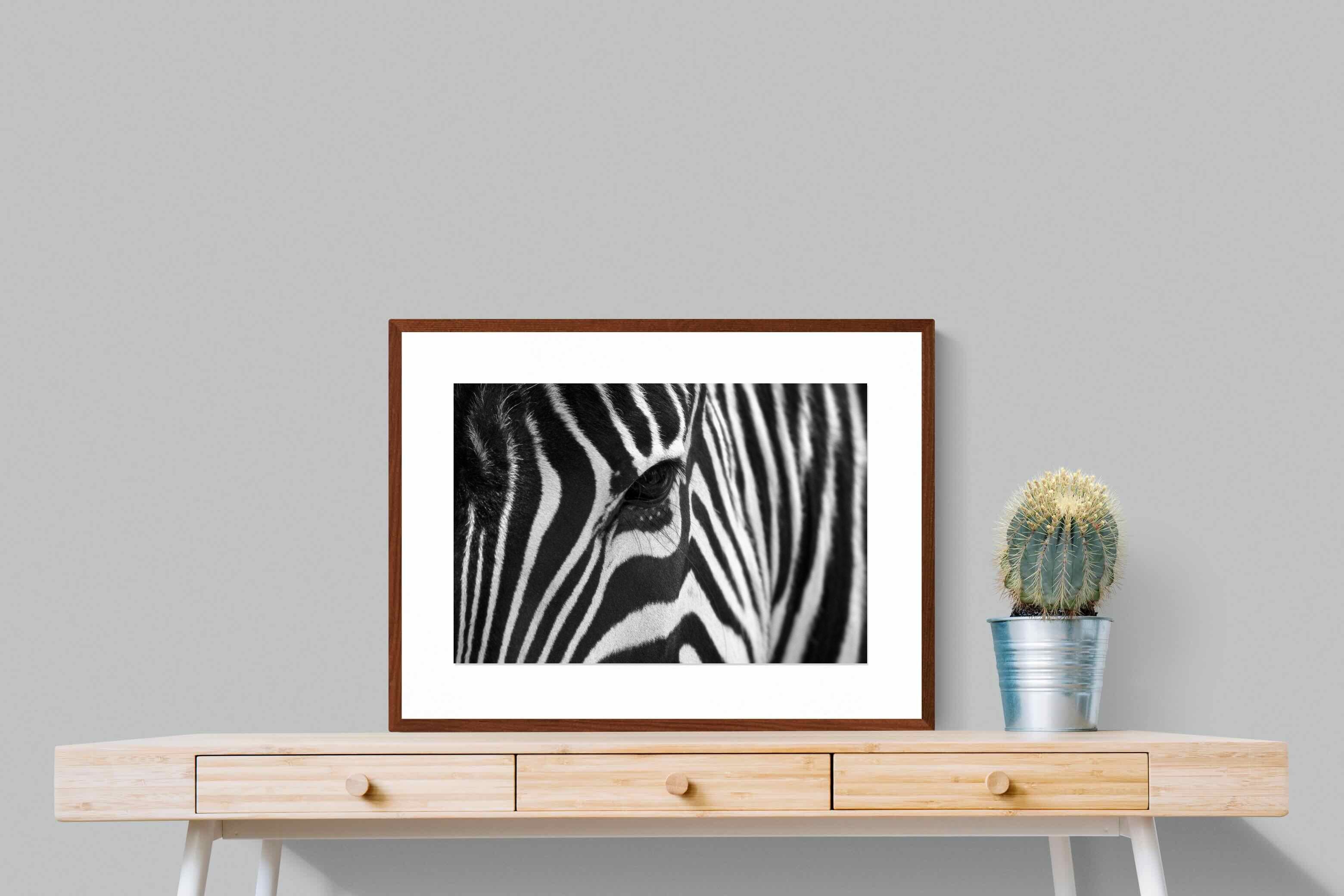 Pixalot ® Zebra Eye