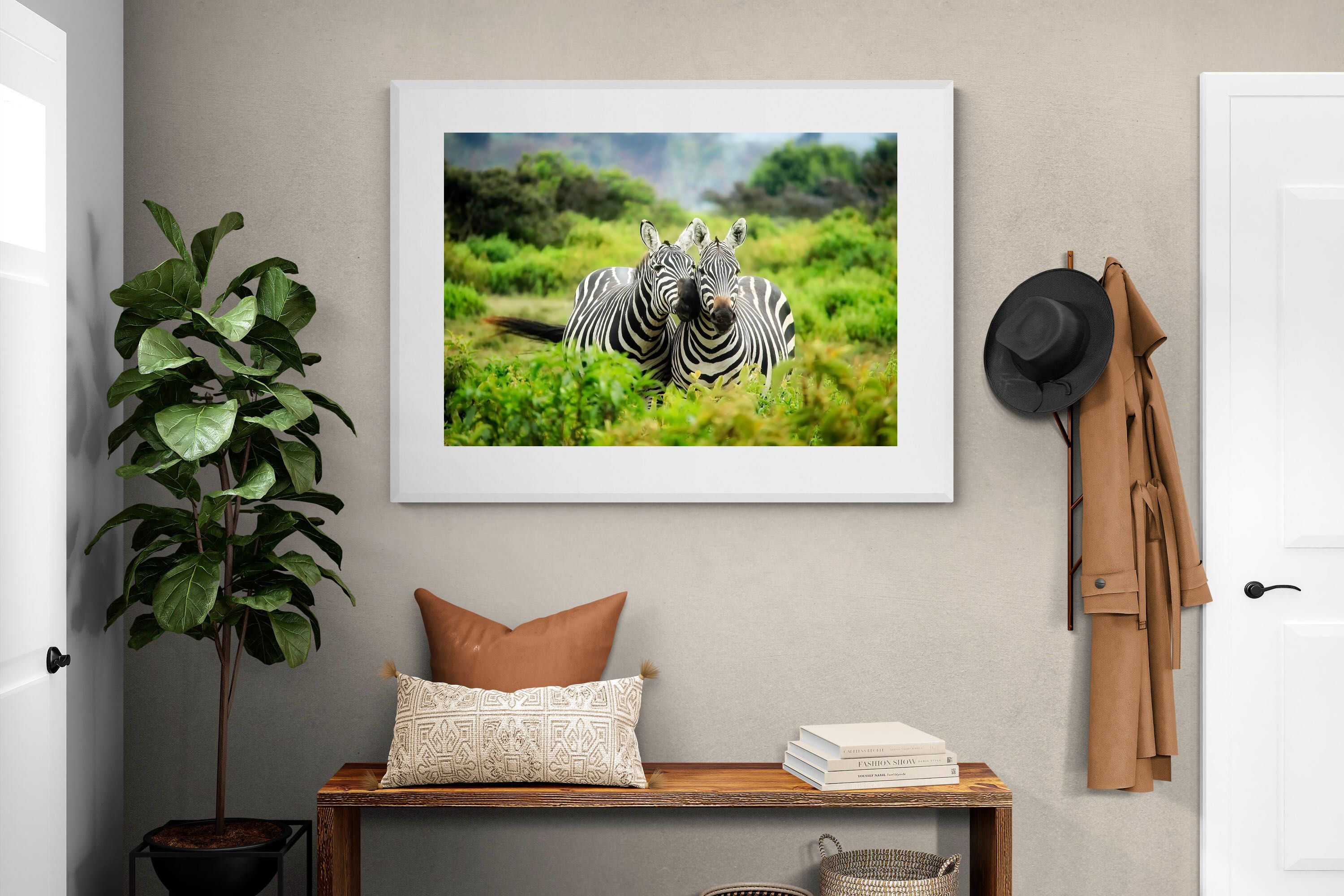 Pixalot ® Zebra Foliage