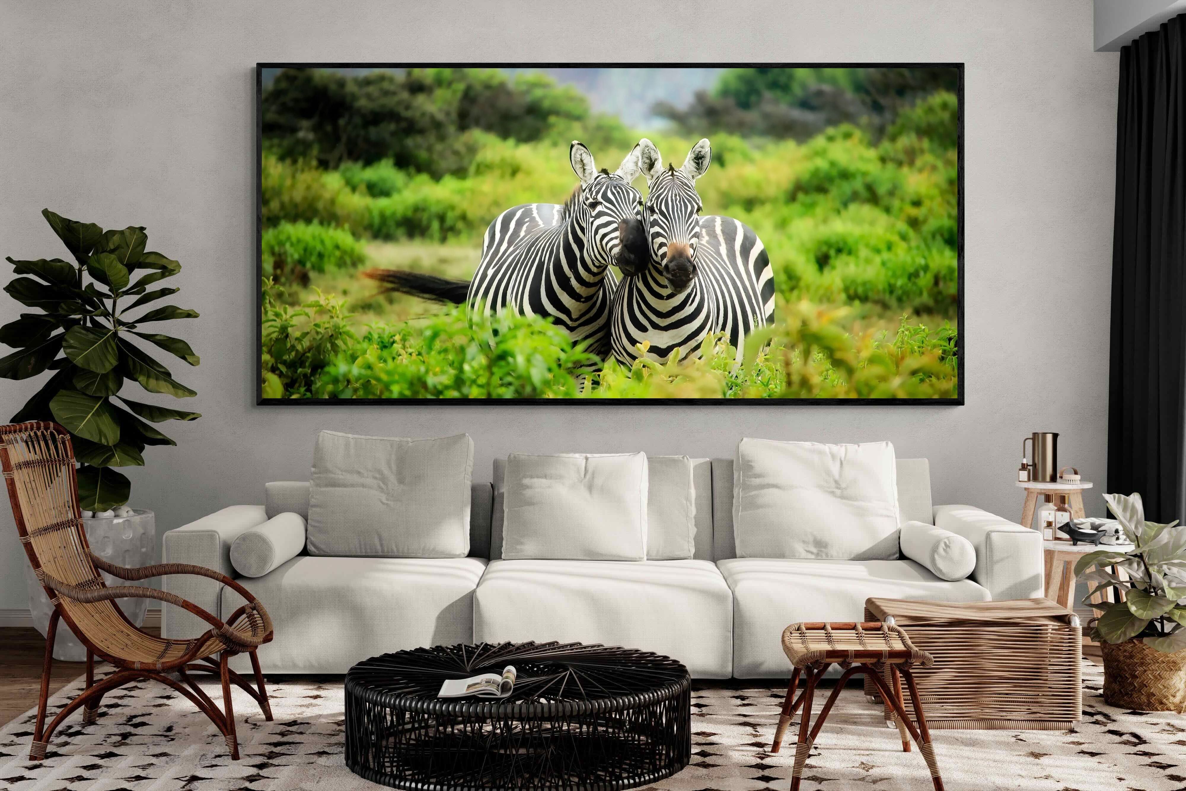 Pixalot ® Zebra Foliage