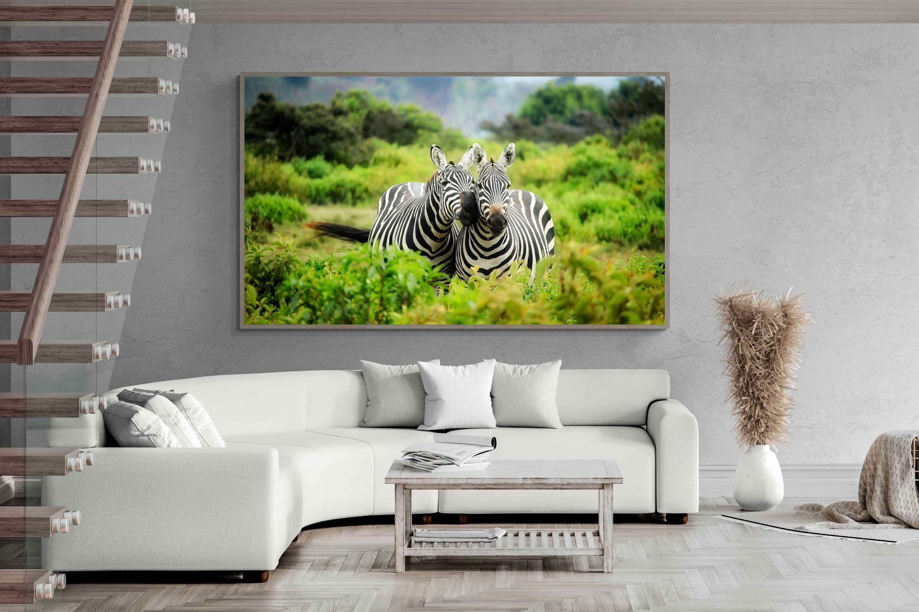 Pixalot ® Zebra Foliage