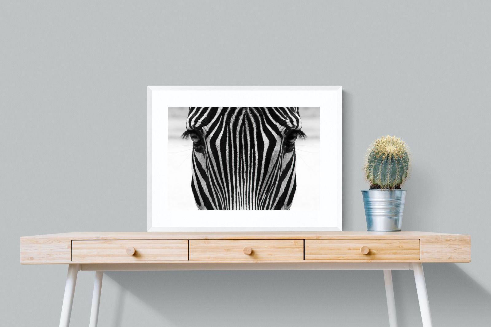 Pixalot Zebra Gaze