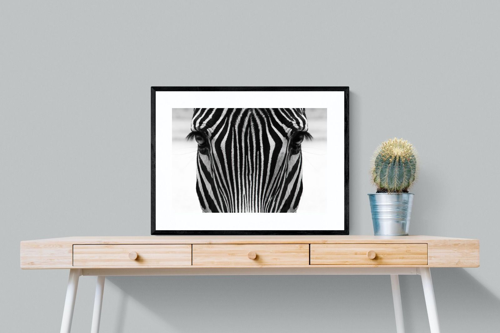 Pixalot Zebra Gaze