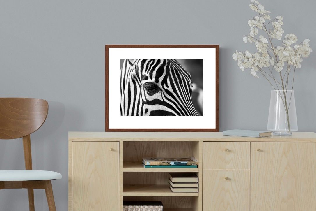 Pixalot ® Zebra