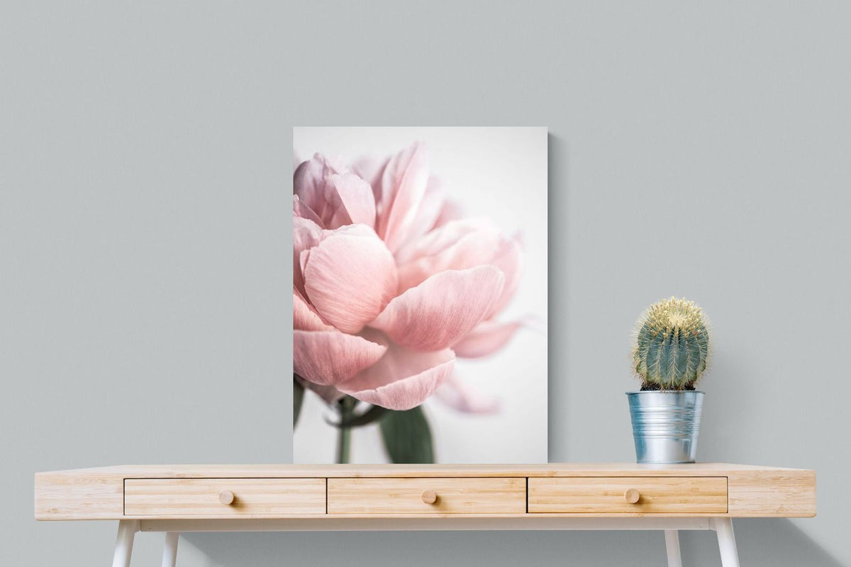 Pixalot ® Plush Peony