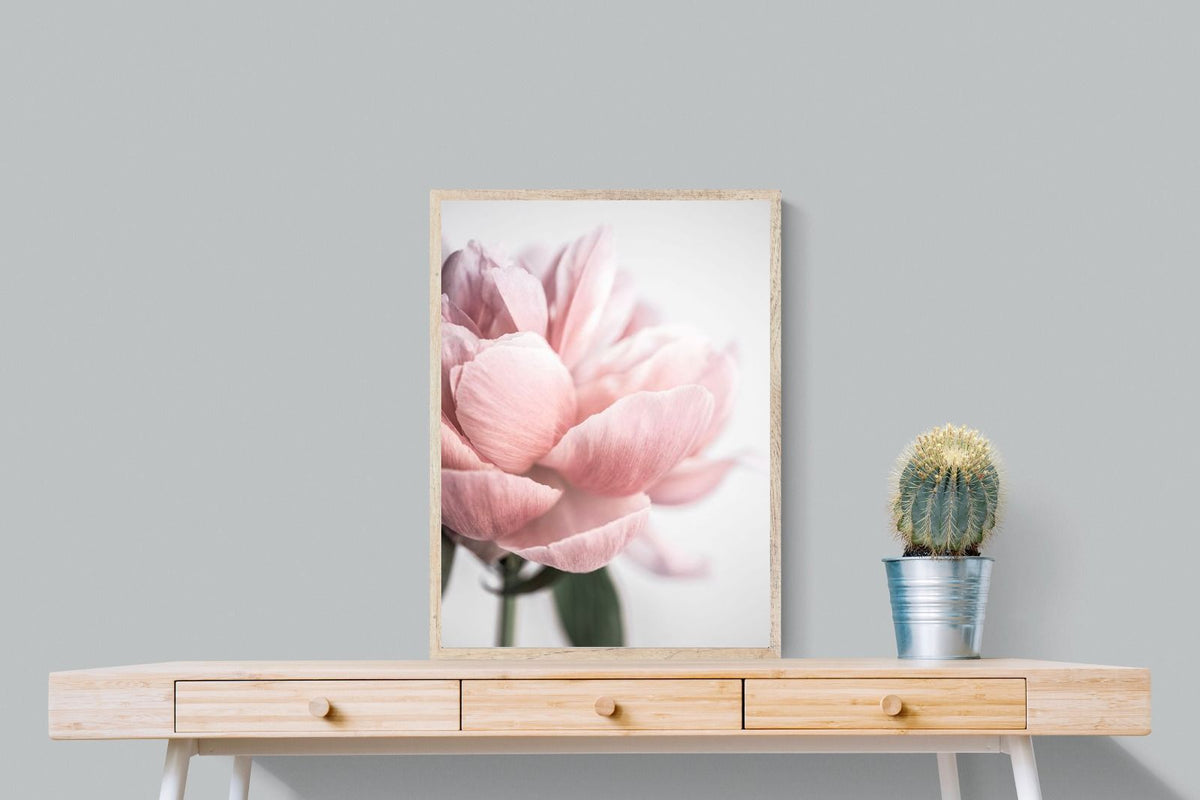 Pixalot ® Plush Peony