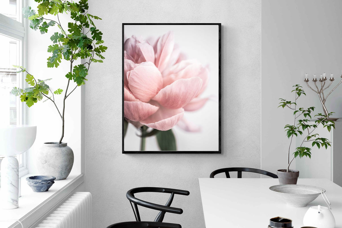 Pixalot ® Plush Peony