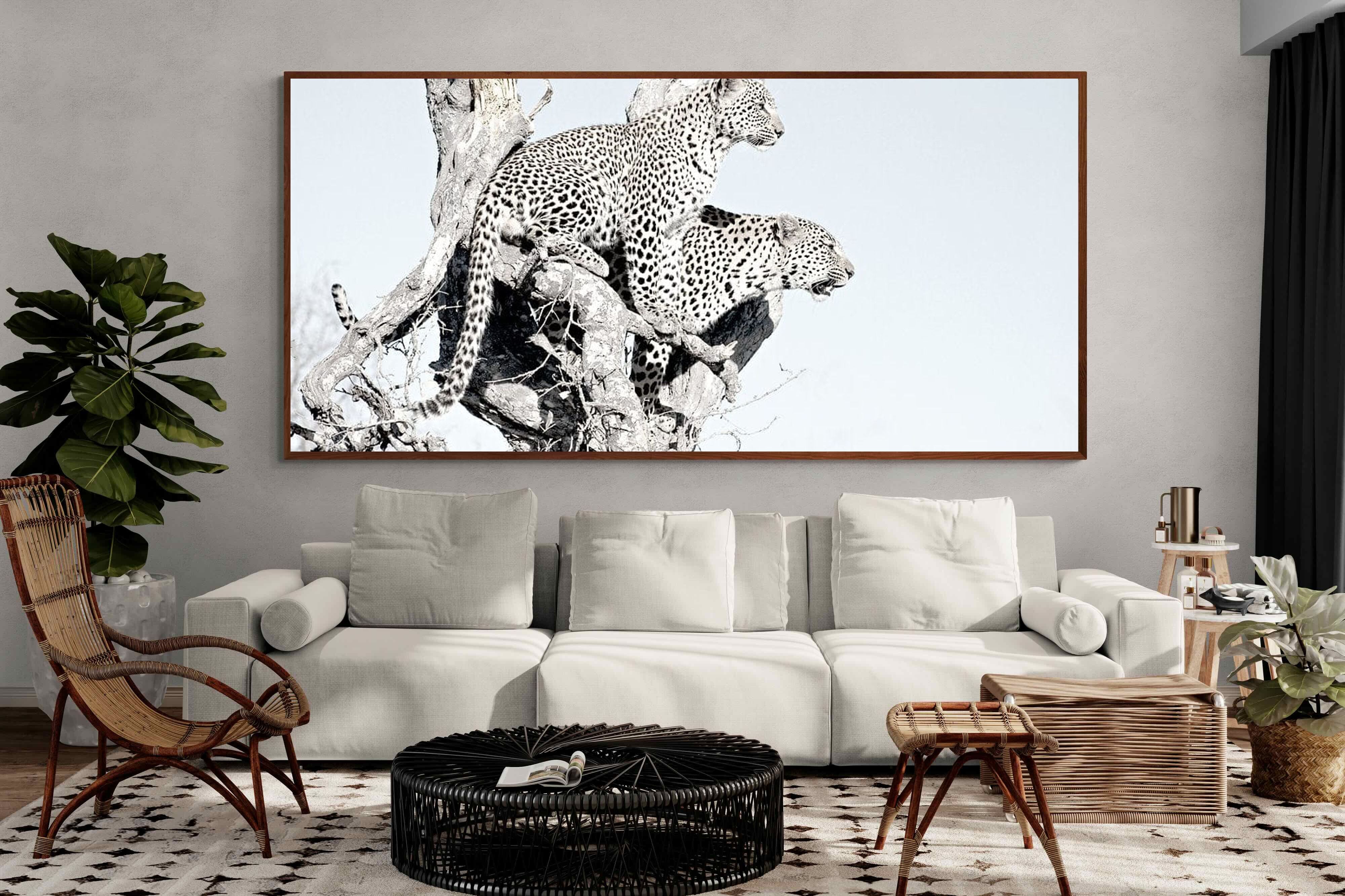 Pixalot Poised Leopards