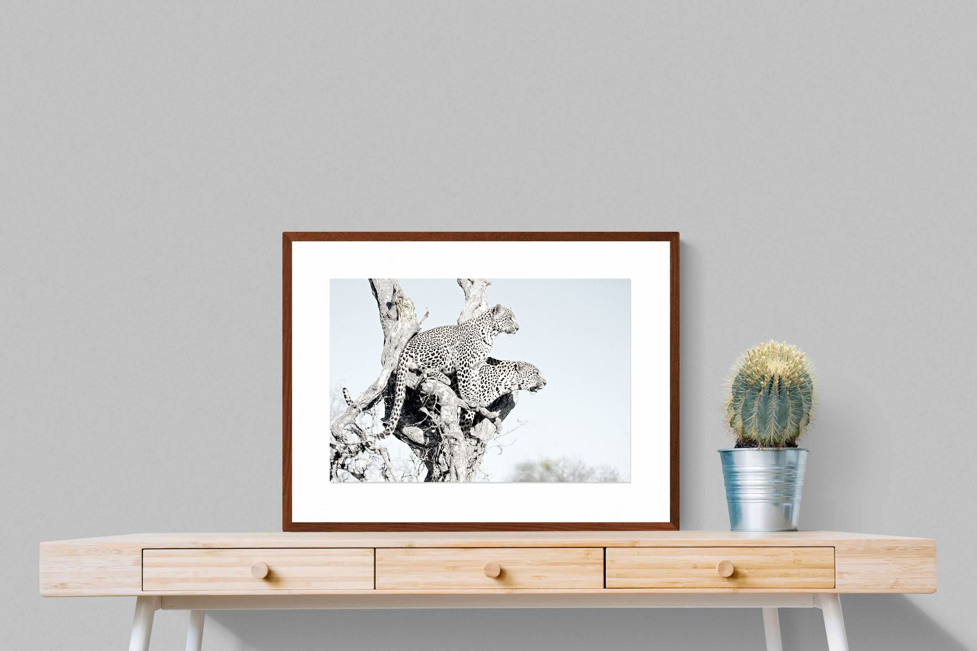 Pixalot Poised Leopards