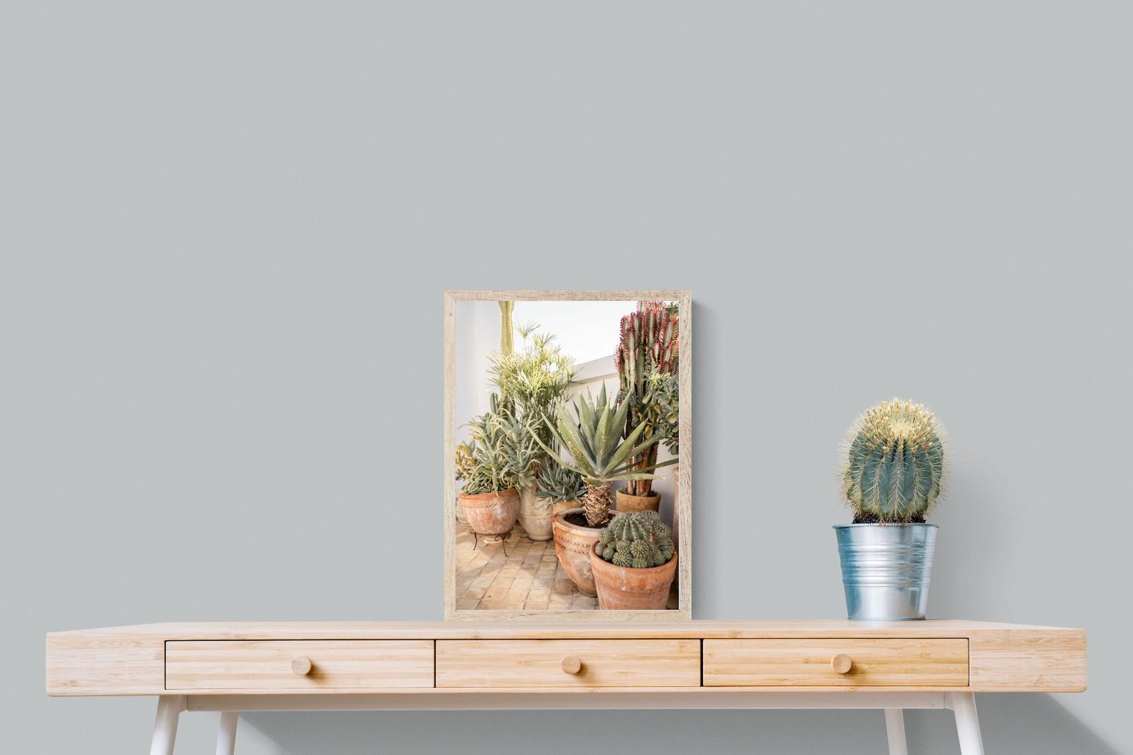 Pixalot Potted Succulents