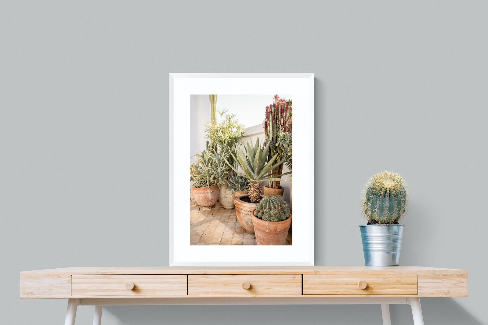 Pixalot Potted Succulents