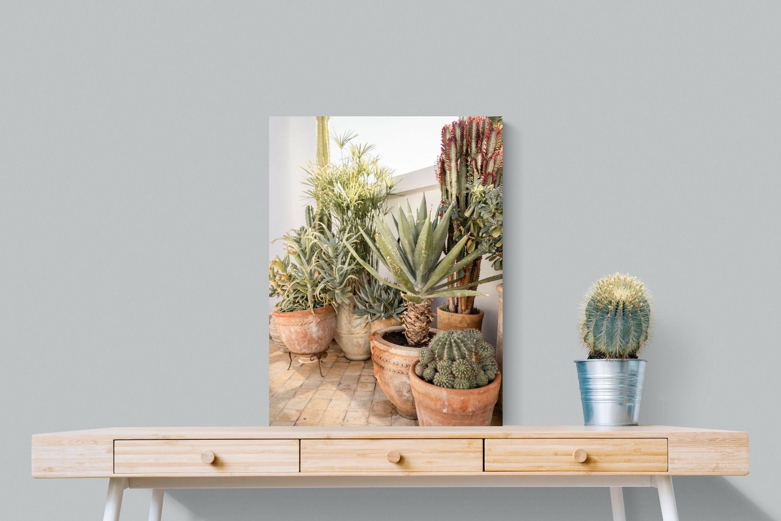 Pixalot Potted Succulents