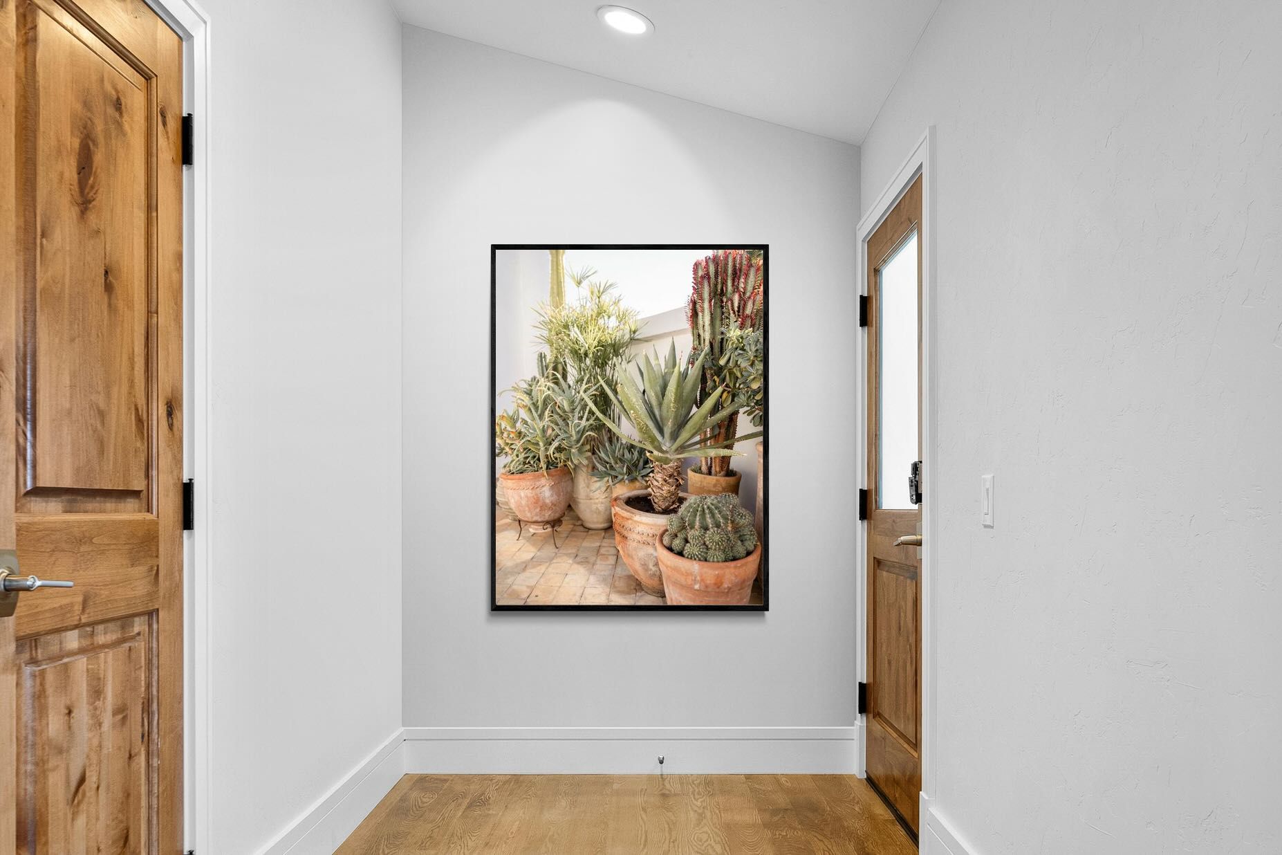 Pixalot Potted Succulents