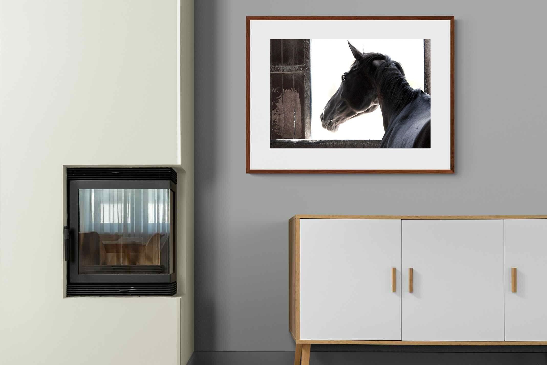 Pixalot ® Racehorse